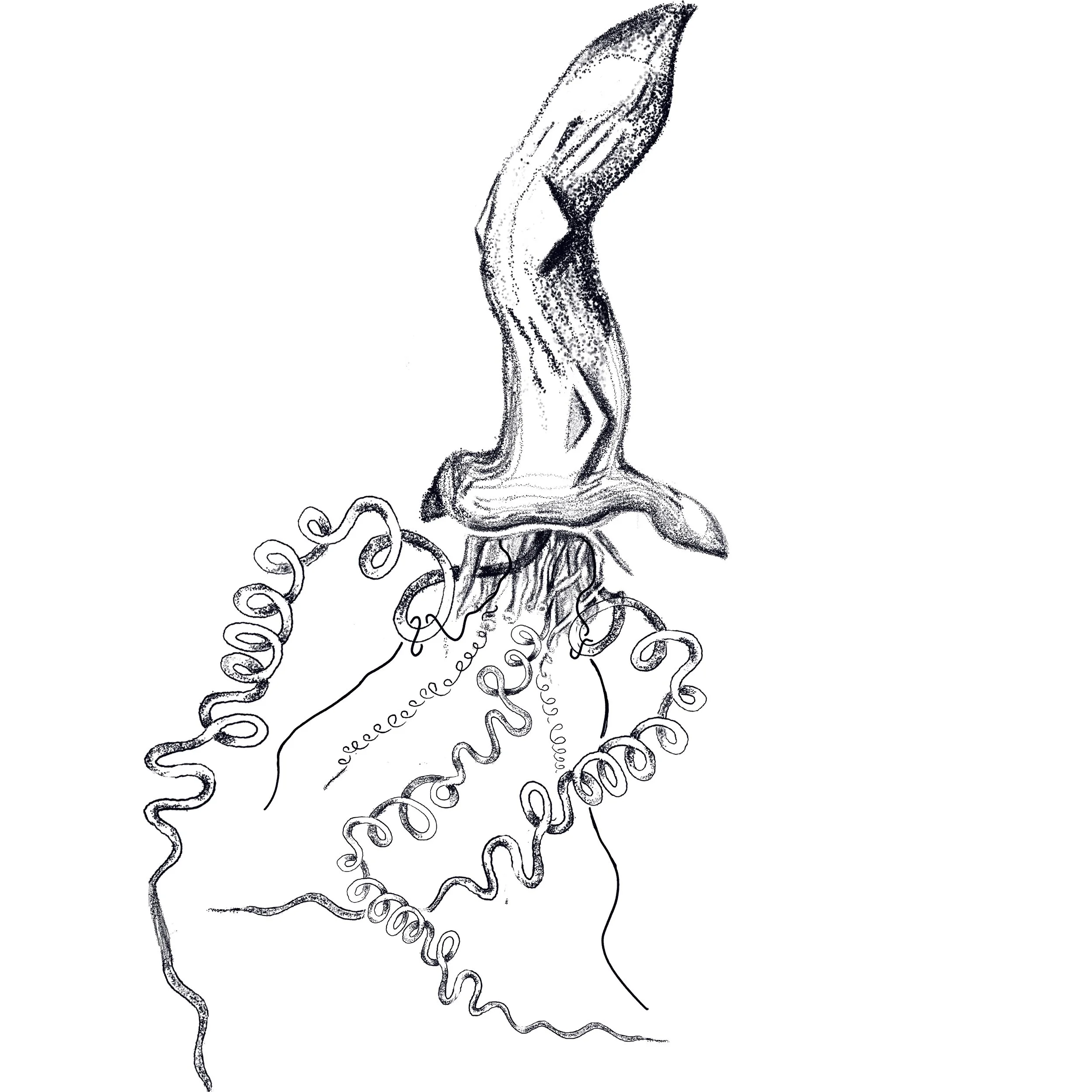 Untitled_Artwork 125.jpg