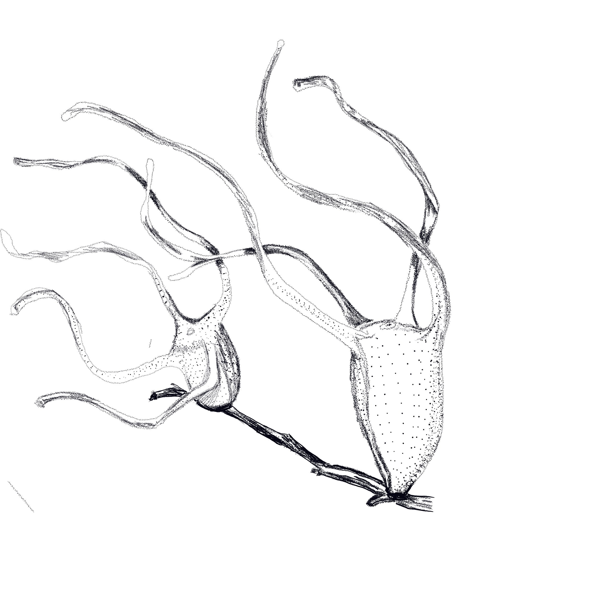 Untitled_Artwork 135.jpg