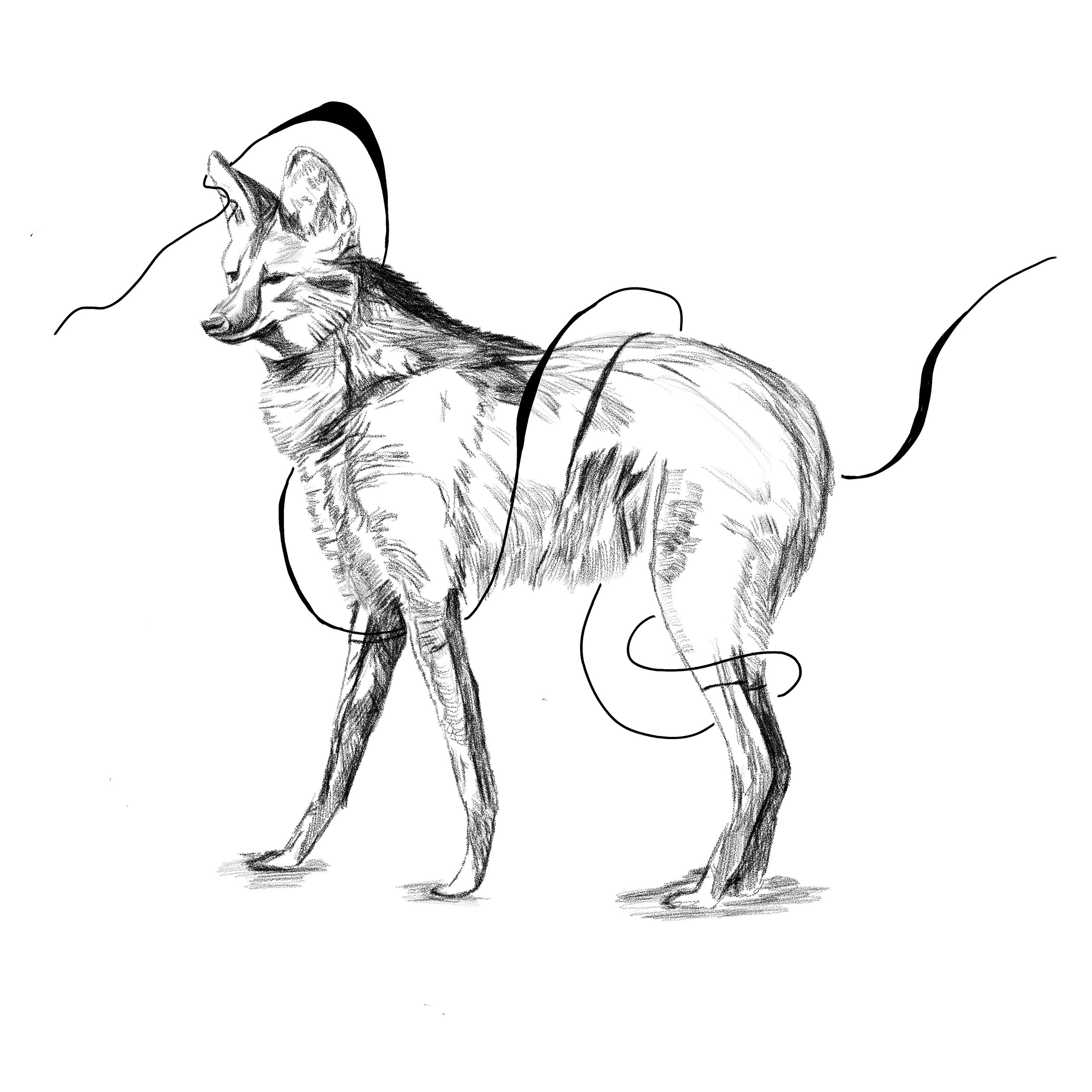 Untitled_Artwork 59.jpg