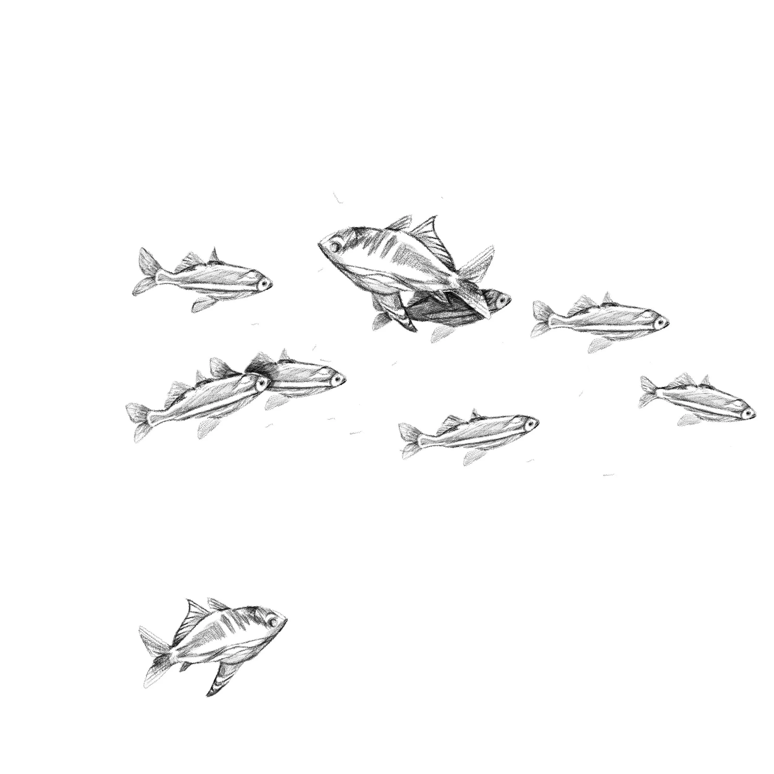 Untitled_Artwork 58.jpg