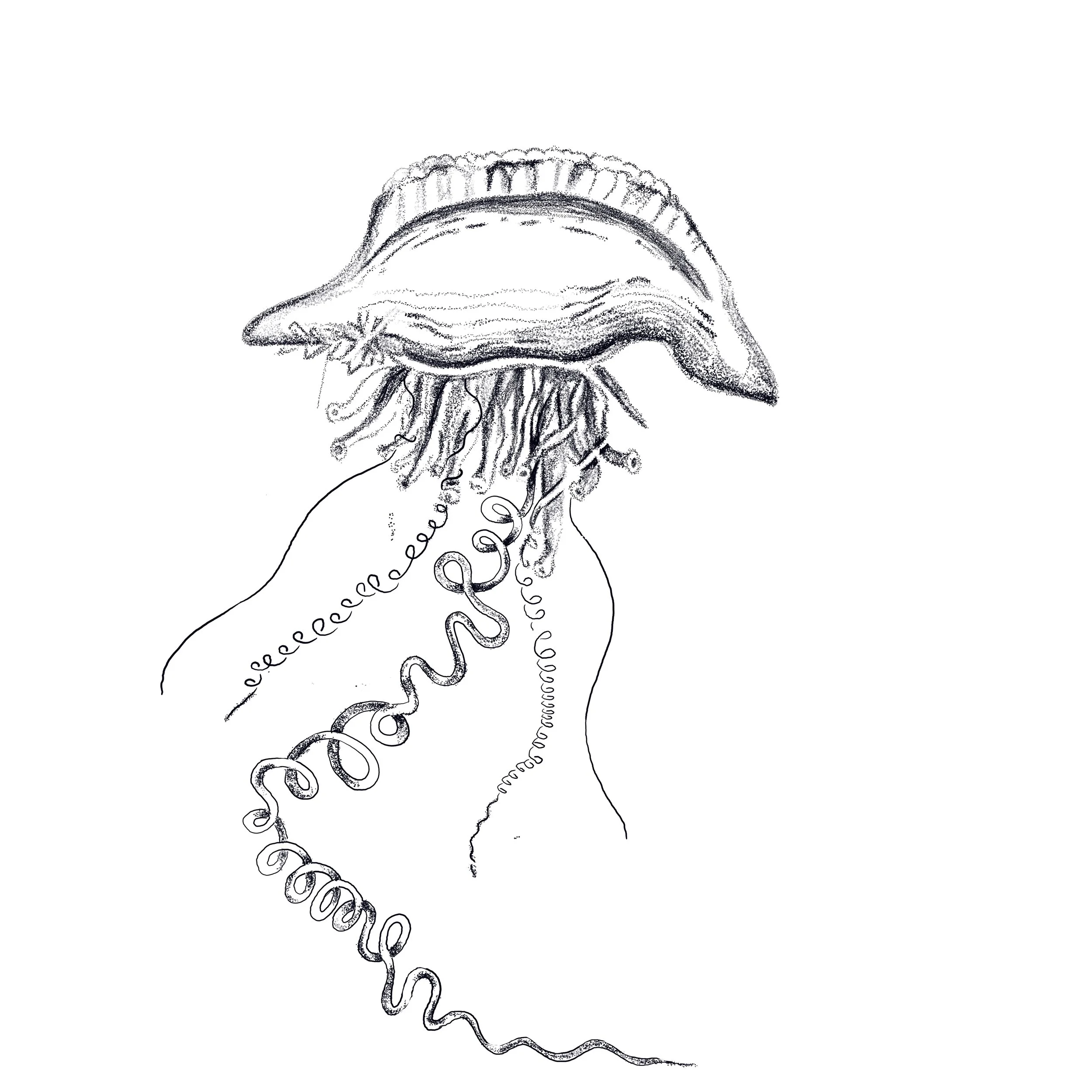 Untitled_Artwork 126.jpg