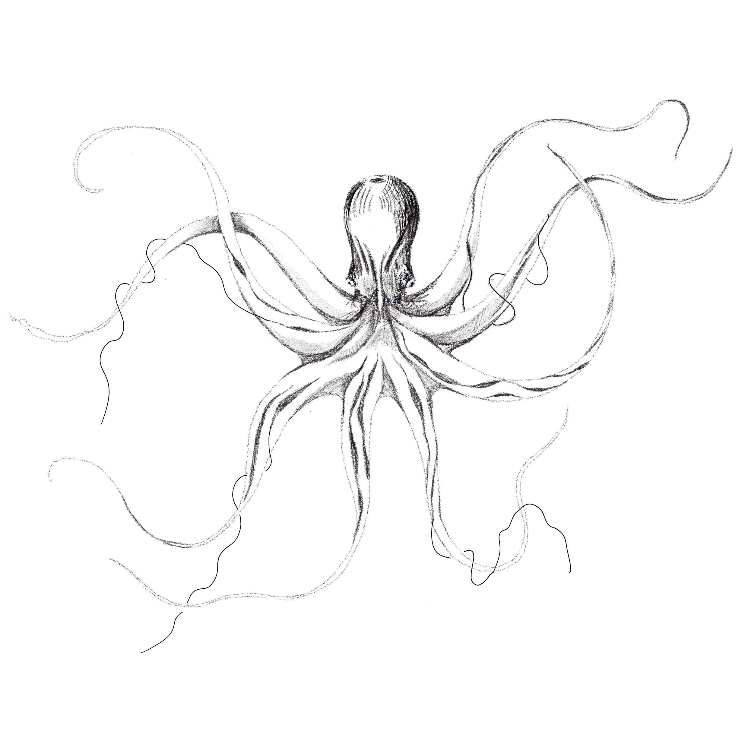 Untitled_Artwork 53.jpg