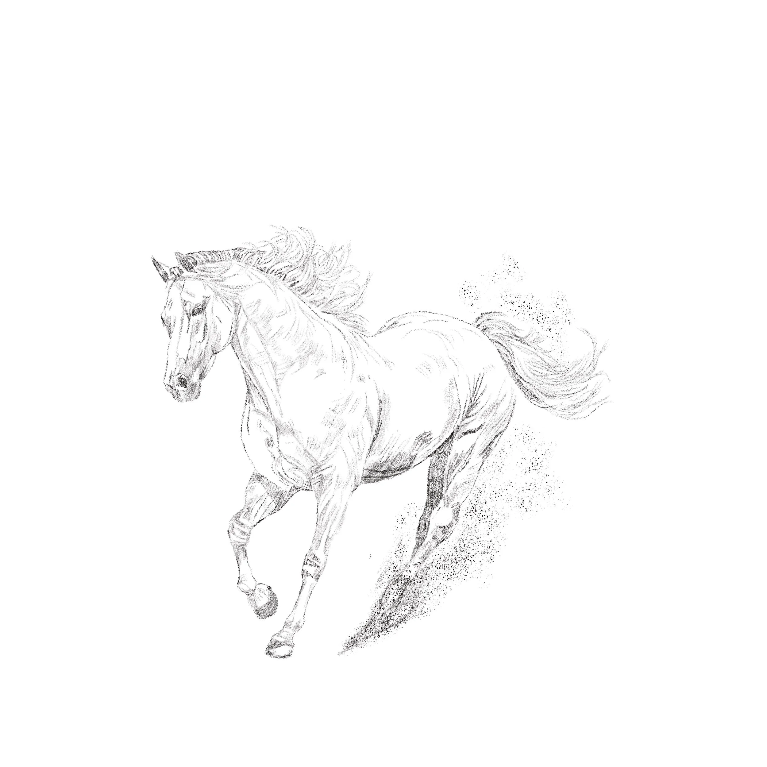 Untitled_Artwork 87.jpg