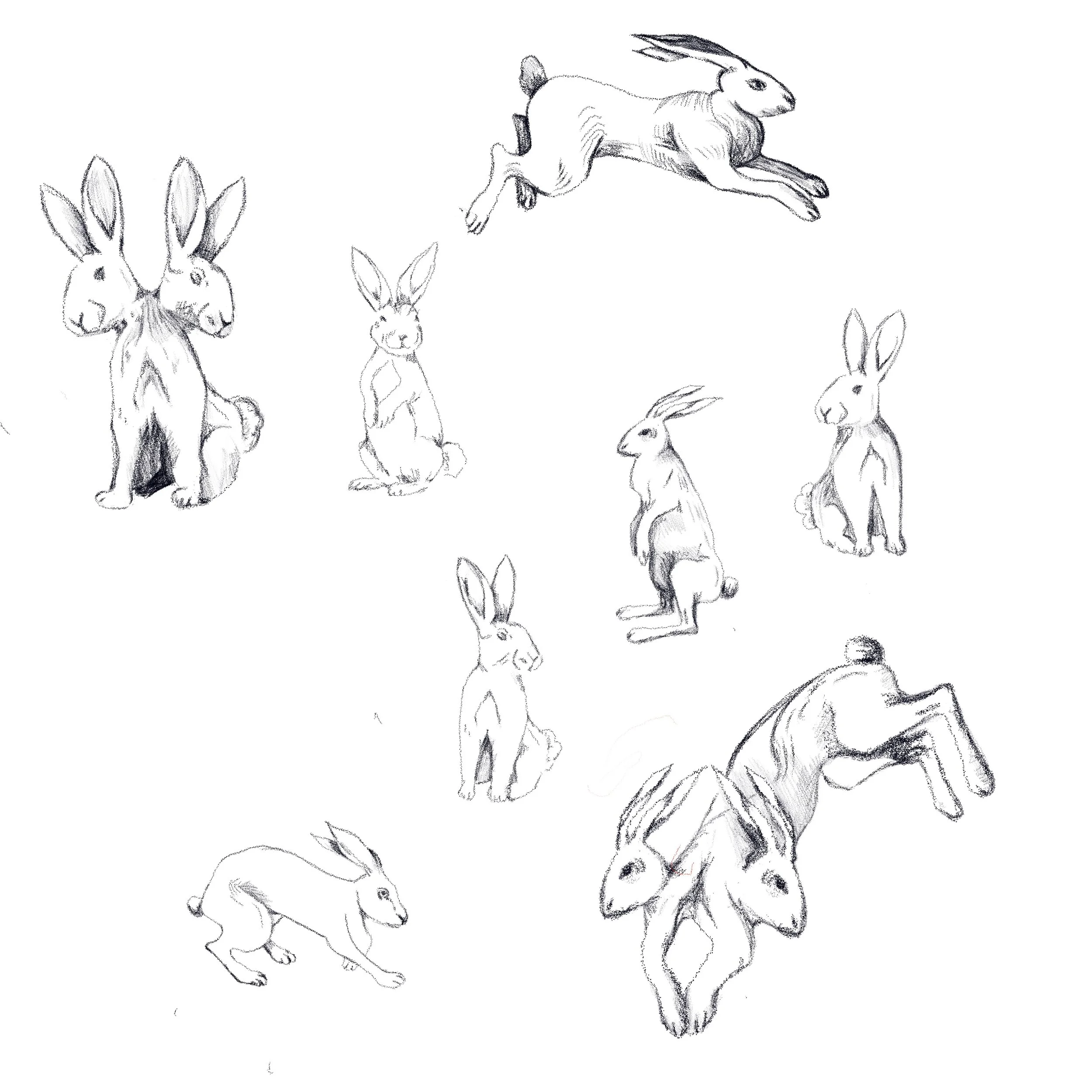 Untitled_Artwork 117.jpg