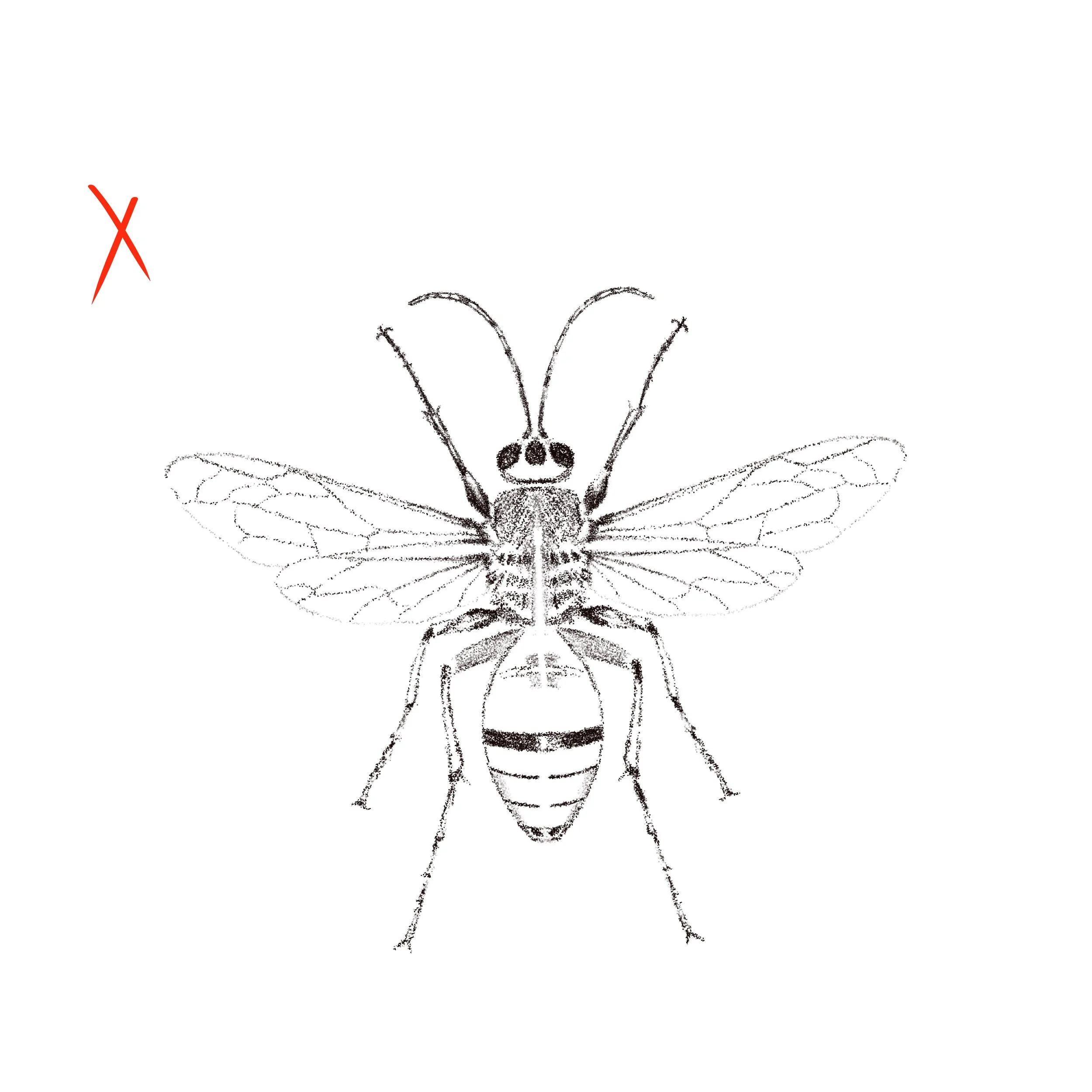 Untitled_Artwork 170.jpg