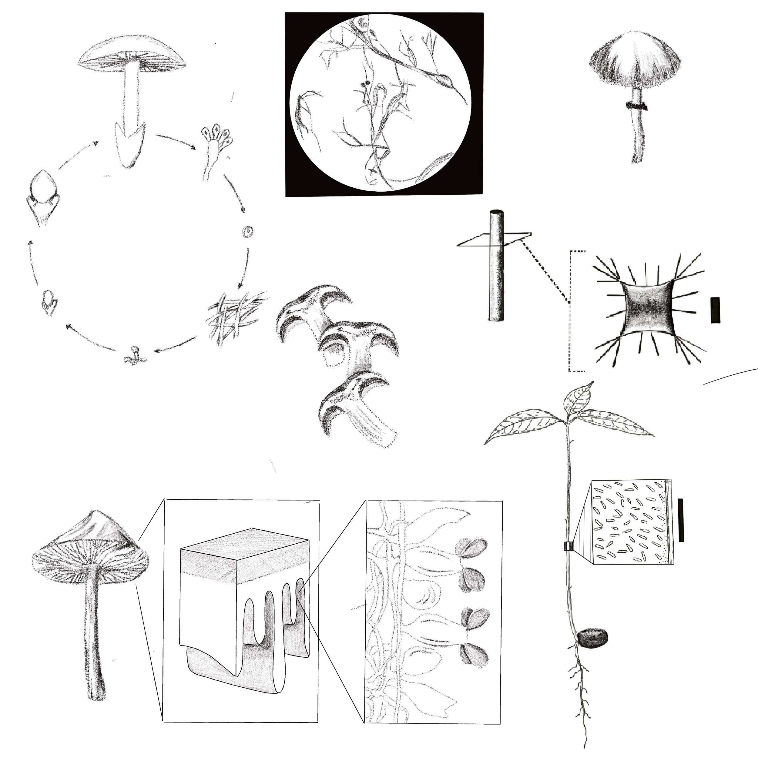 Untitled_Artwork 137.jpg