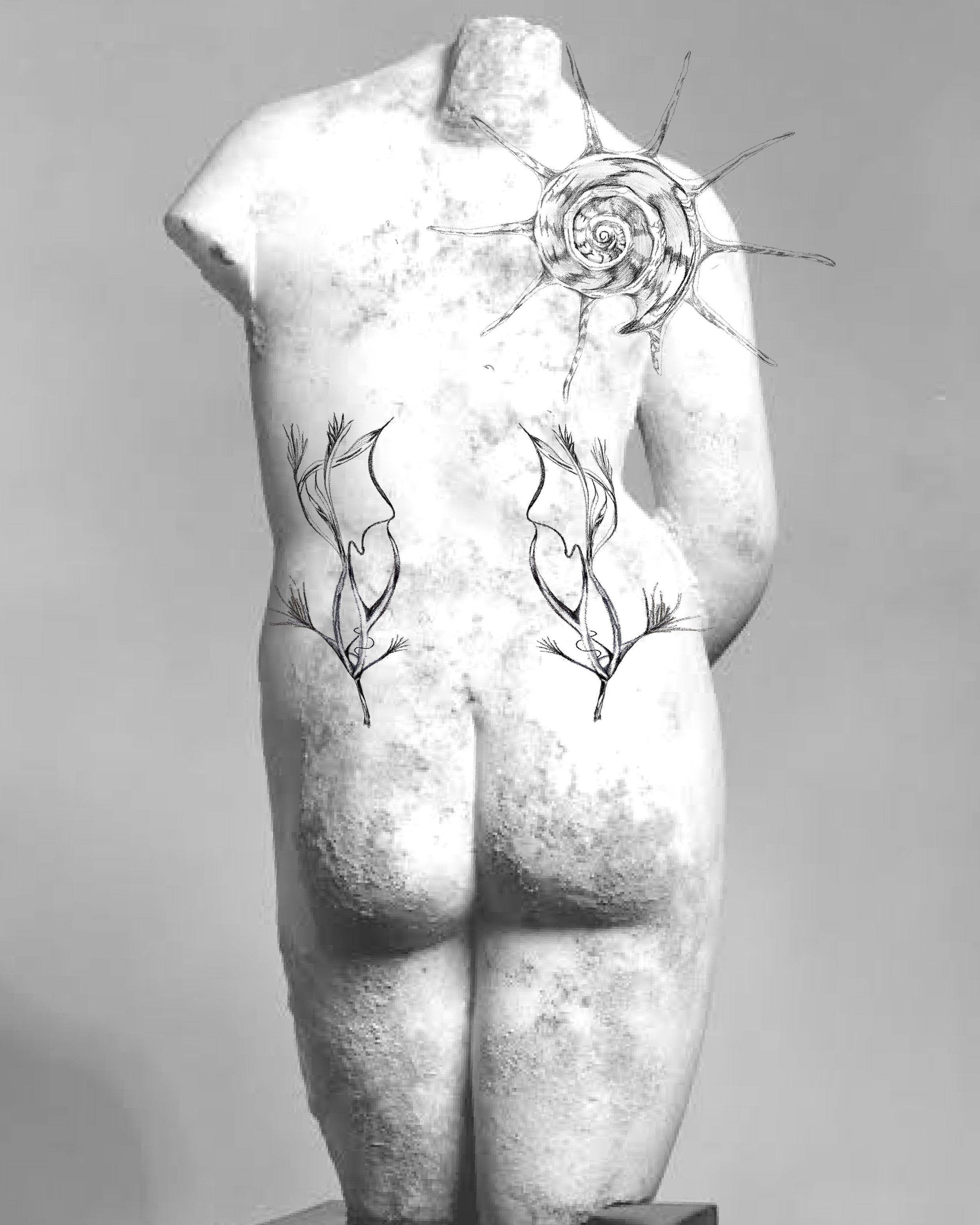 Untitled_Artwork 13.jpg