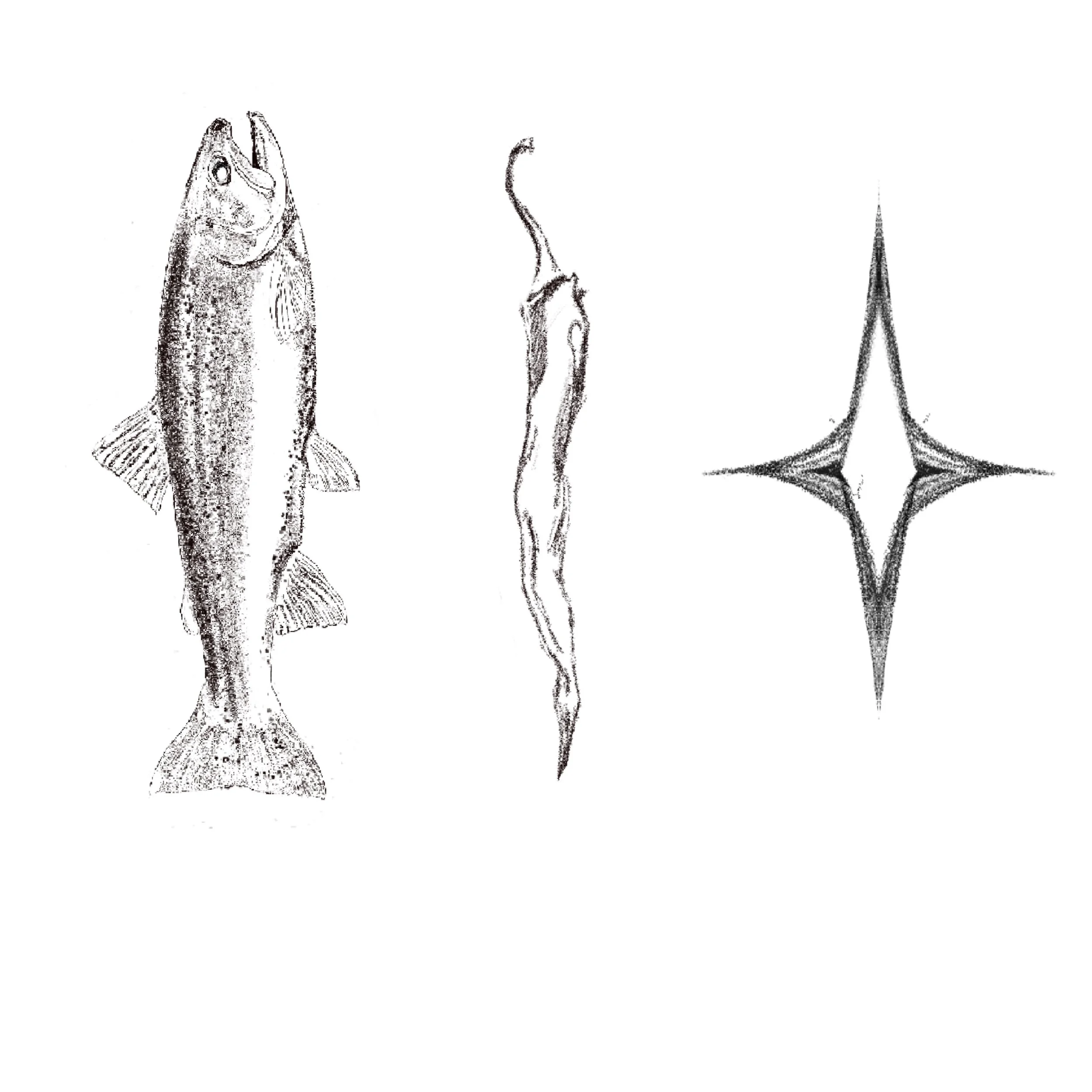 Untitled_Artwork 49.jpg