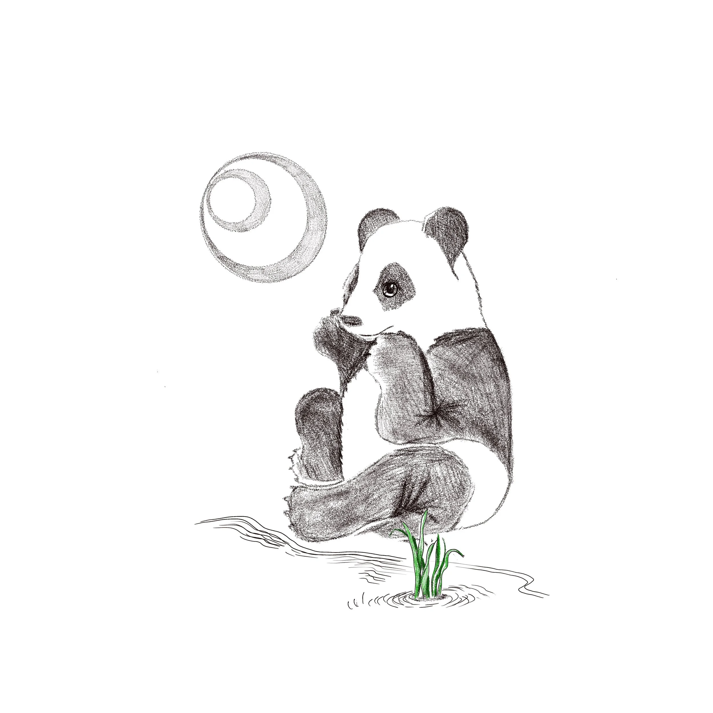 Untitled_Artwork 128.jpg