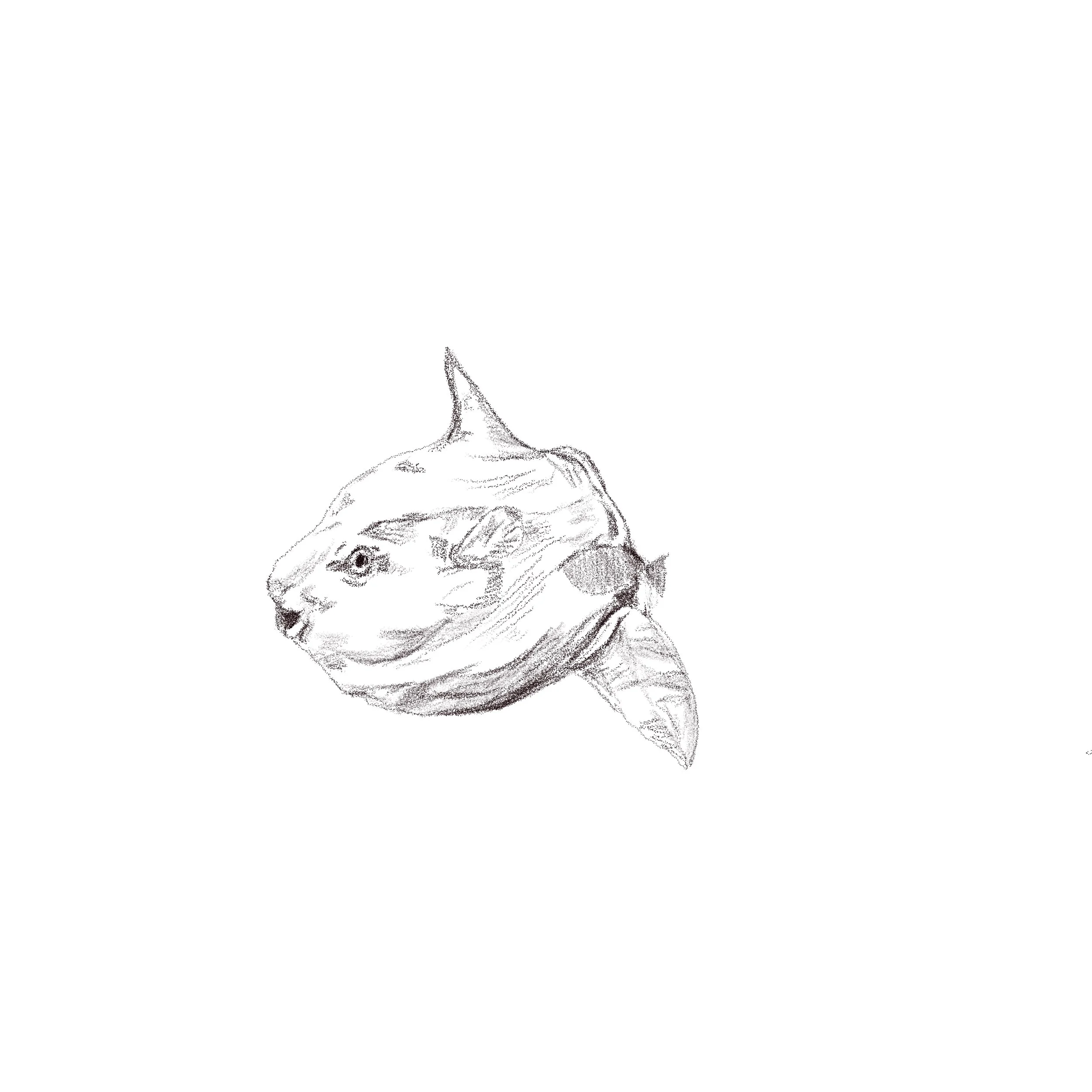 Untitled_Artwork 129.jpg