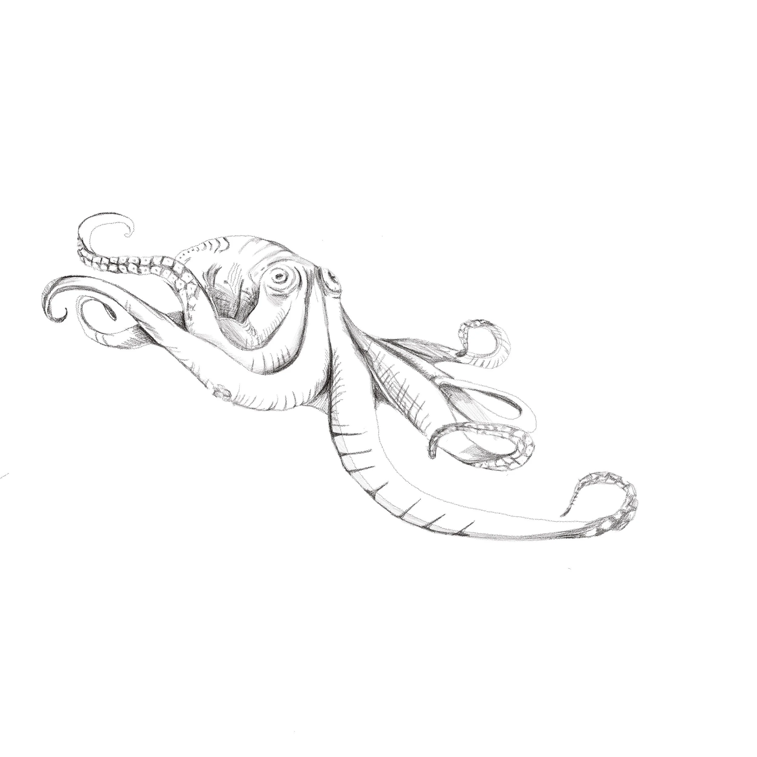 Untitled_Artwork 102.jpg