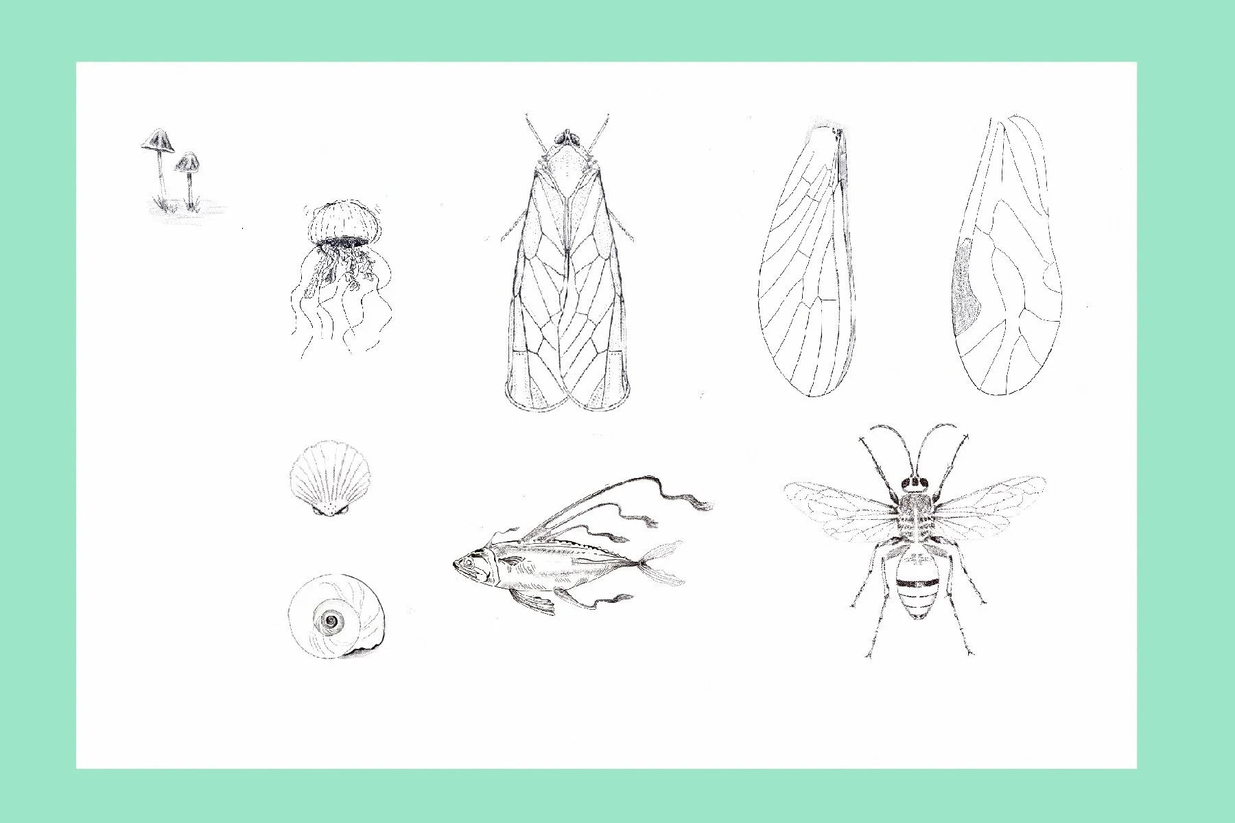 Untitled_Artwork 89.jpg