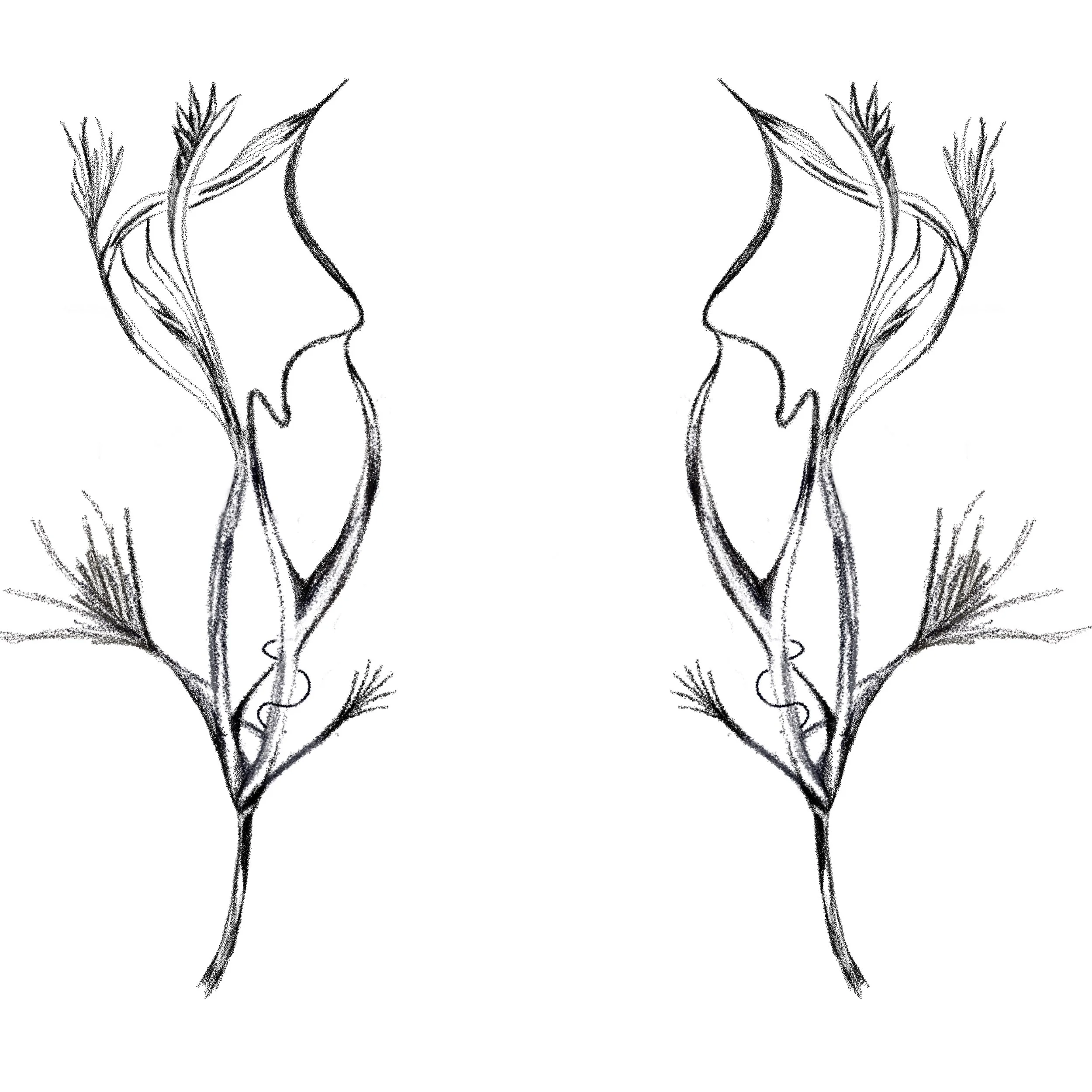 Untitled_Artwork 37.jpg