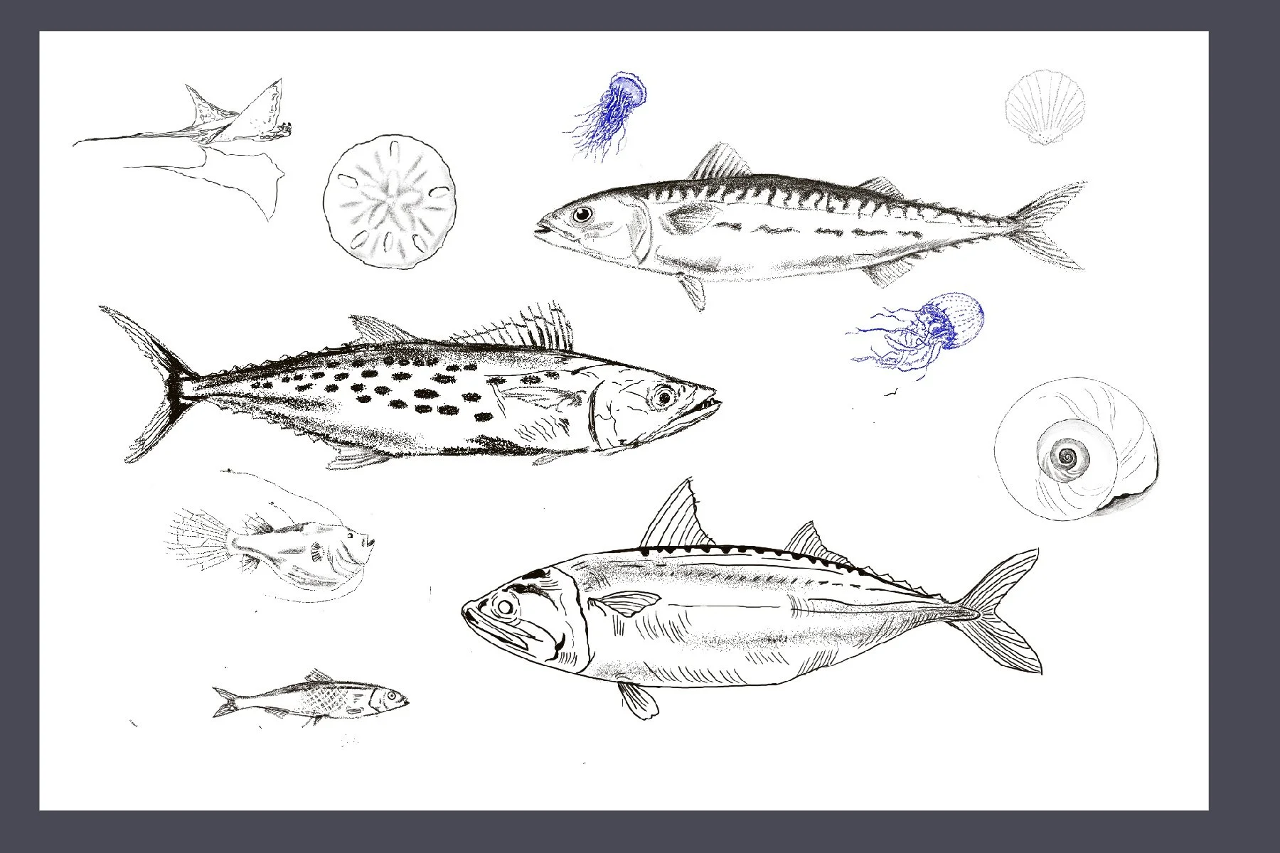 Untitled_Artwork 116.jpg