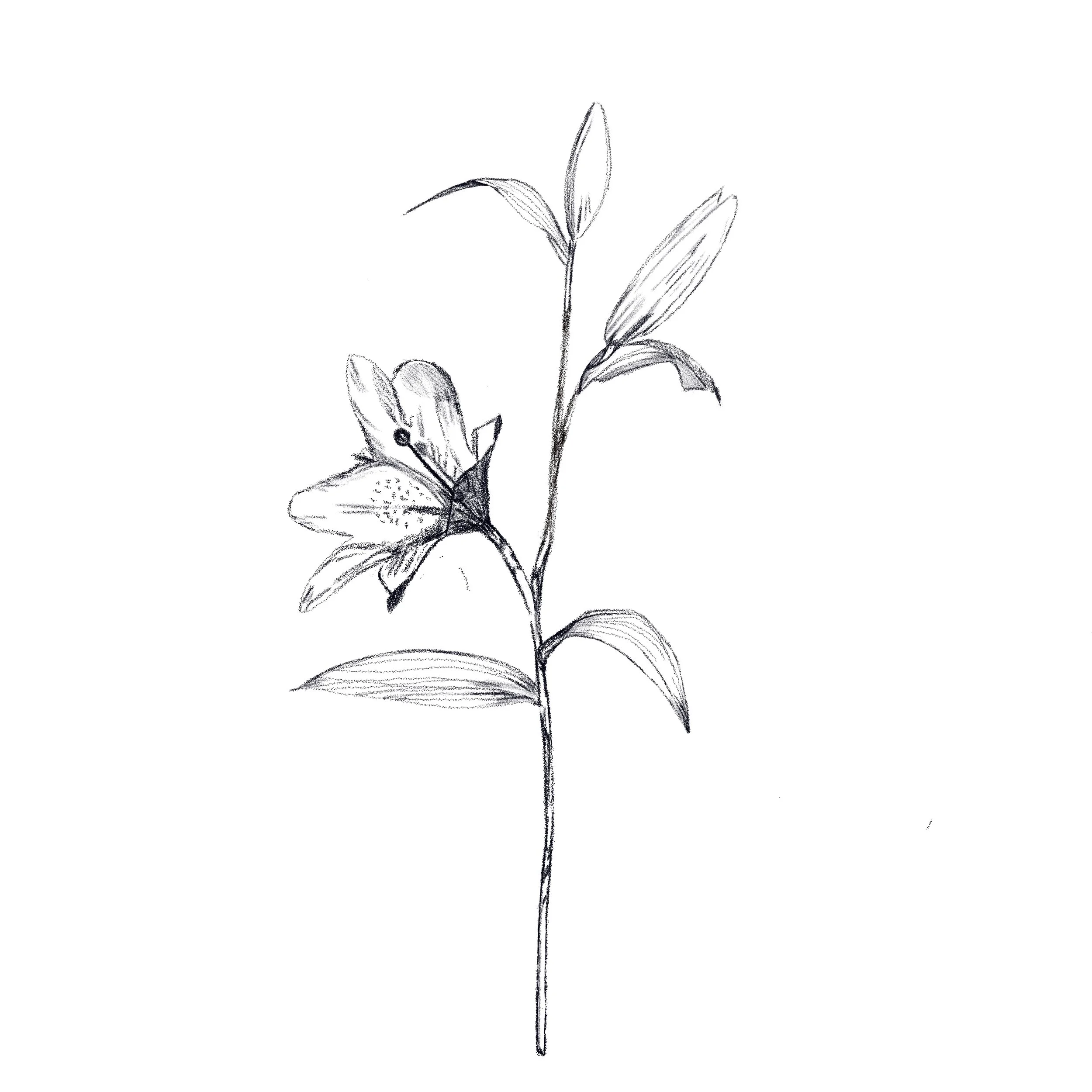 Untitled_Artwork 88.jpg