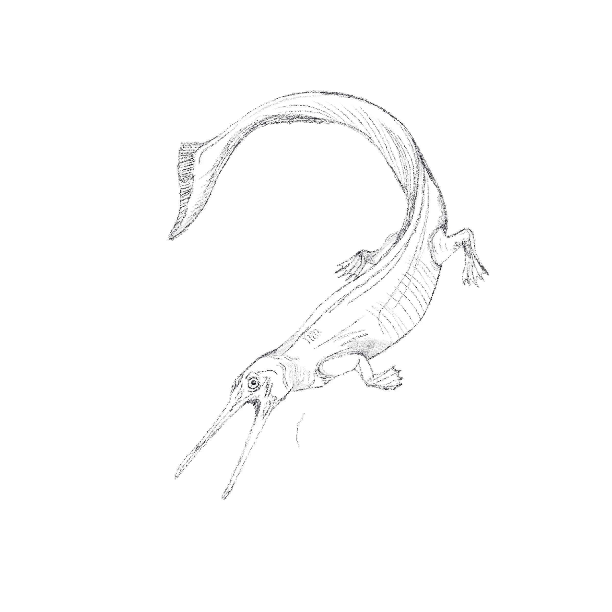 Untitled_Artwork 33.jpg