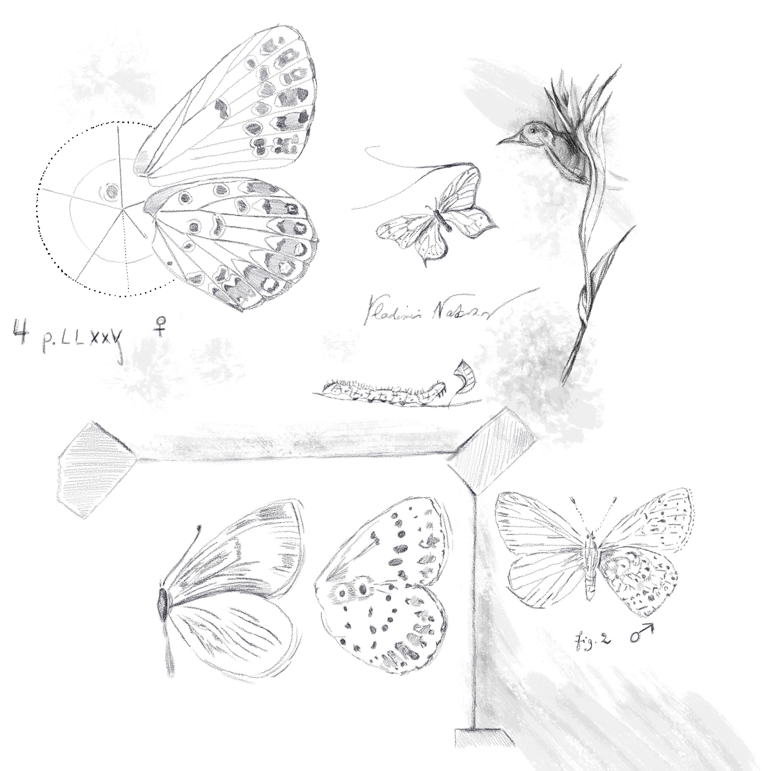 Untitled_Artwork 109.jpg