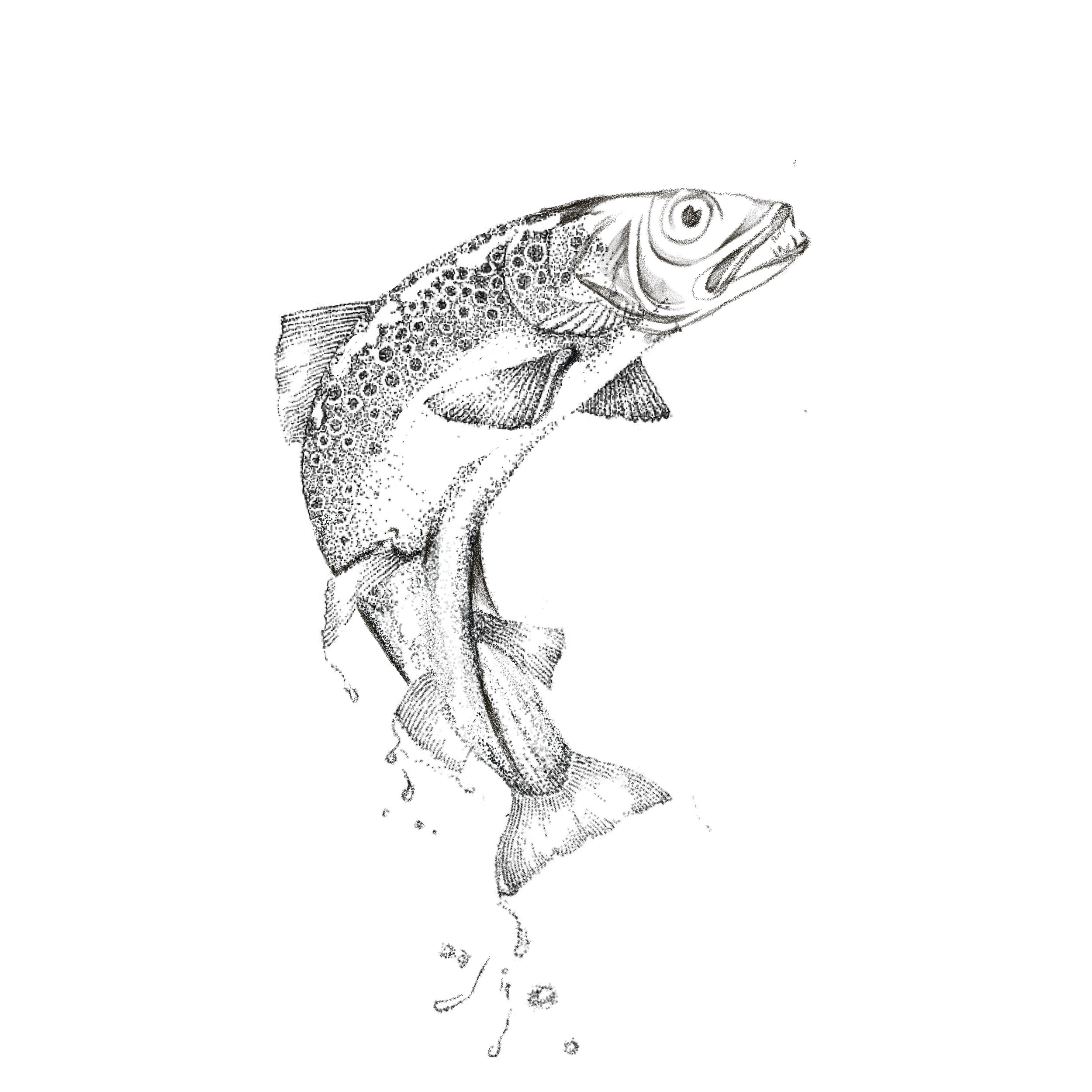 Untitled_Artwork 100.jpg