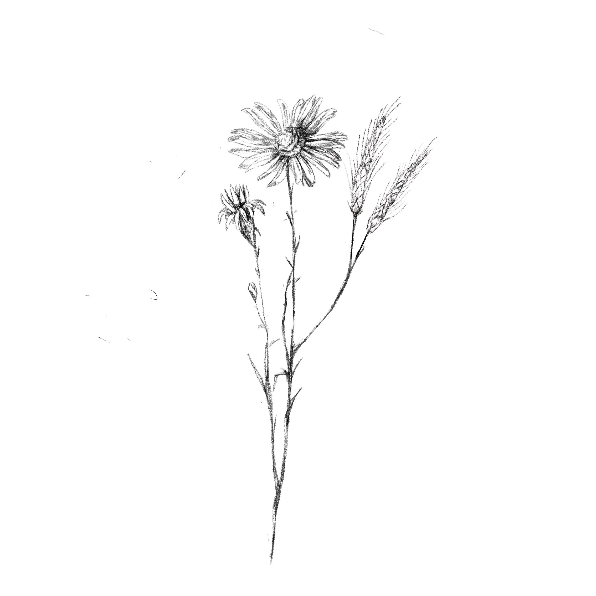 Untitled_Artwork 61.jpg