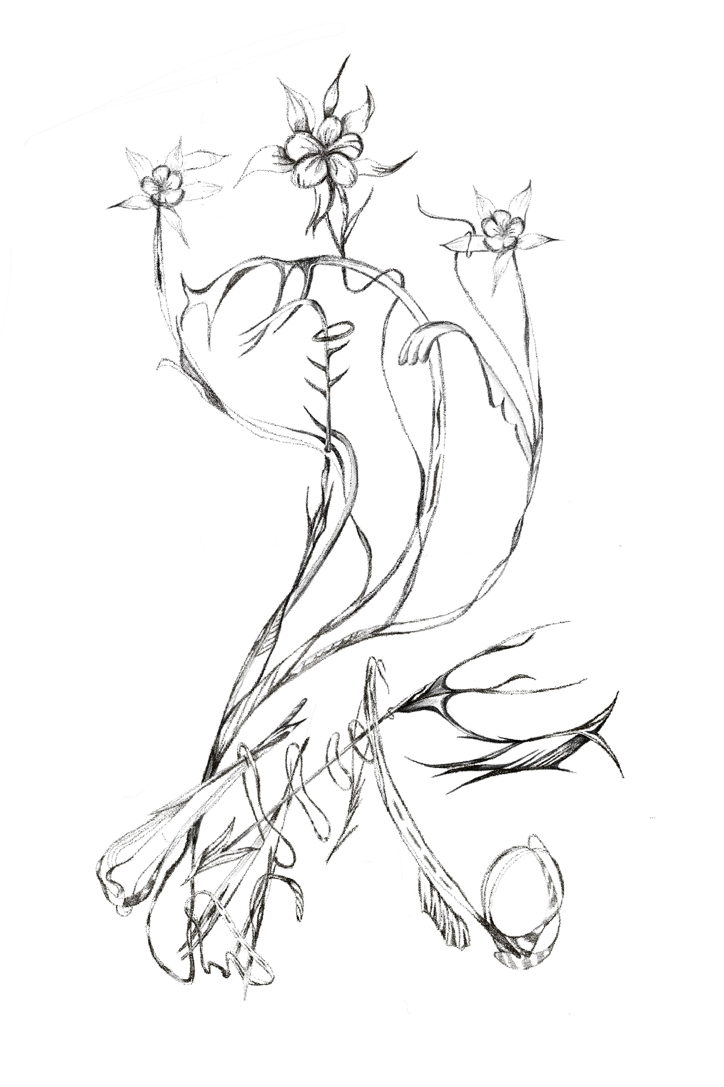 Untitled_Artwork 12.jpg