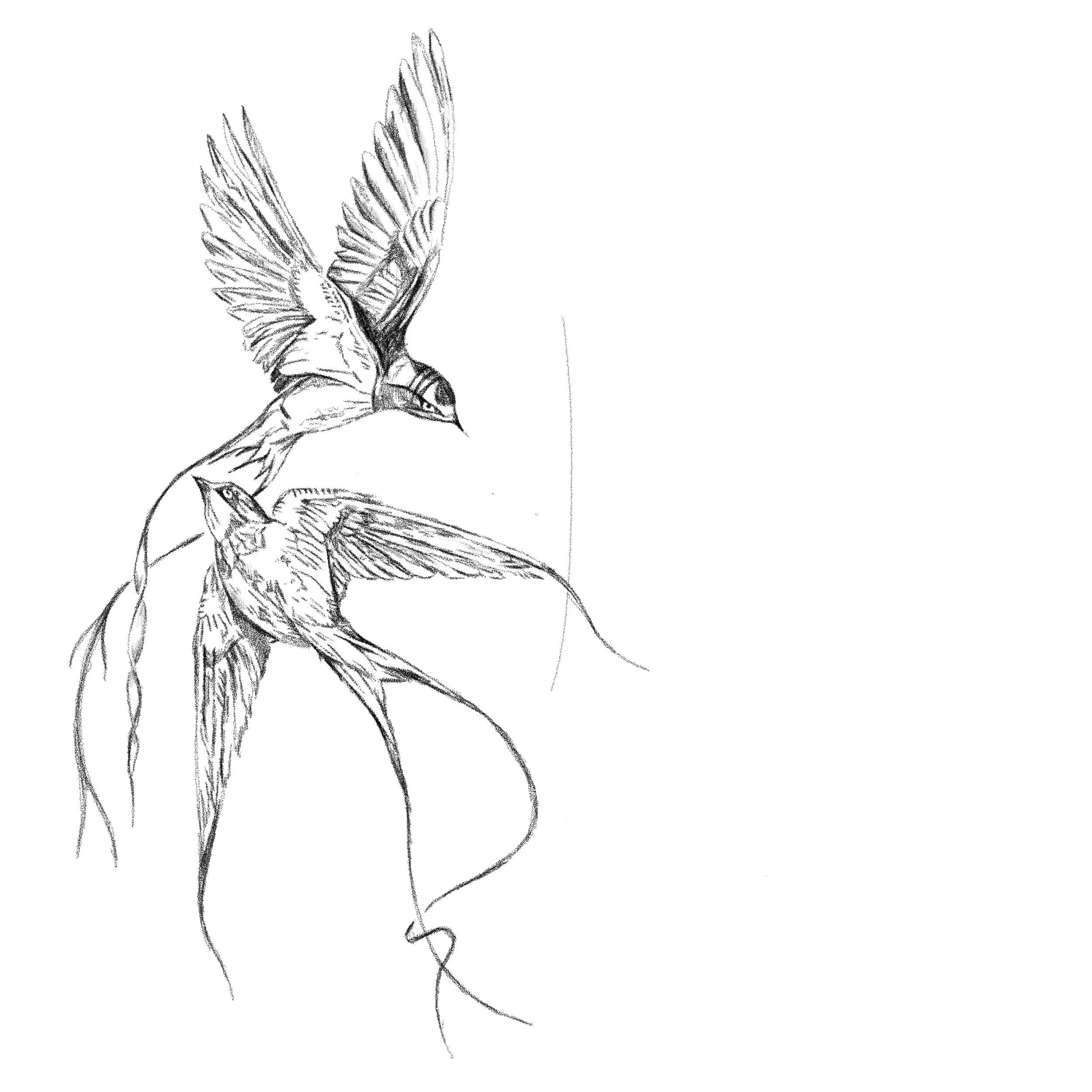 Untitled_Artwork 66.jpg