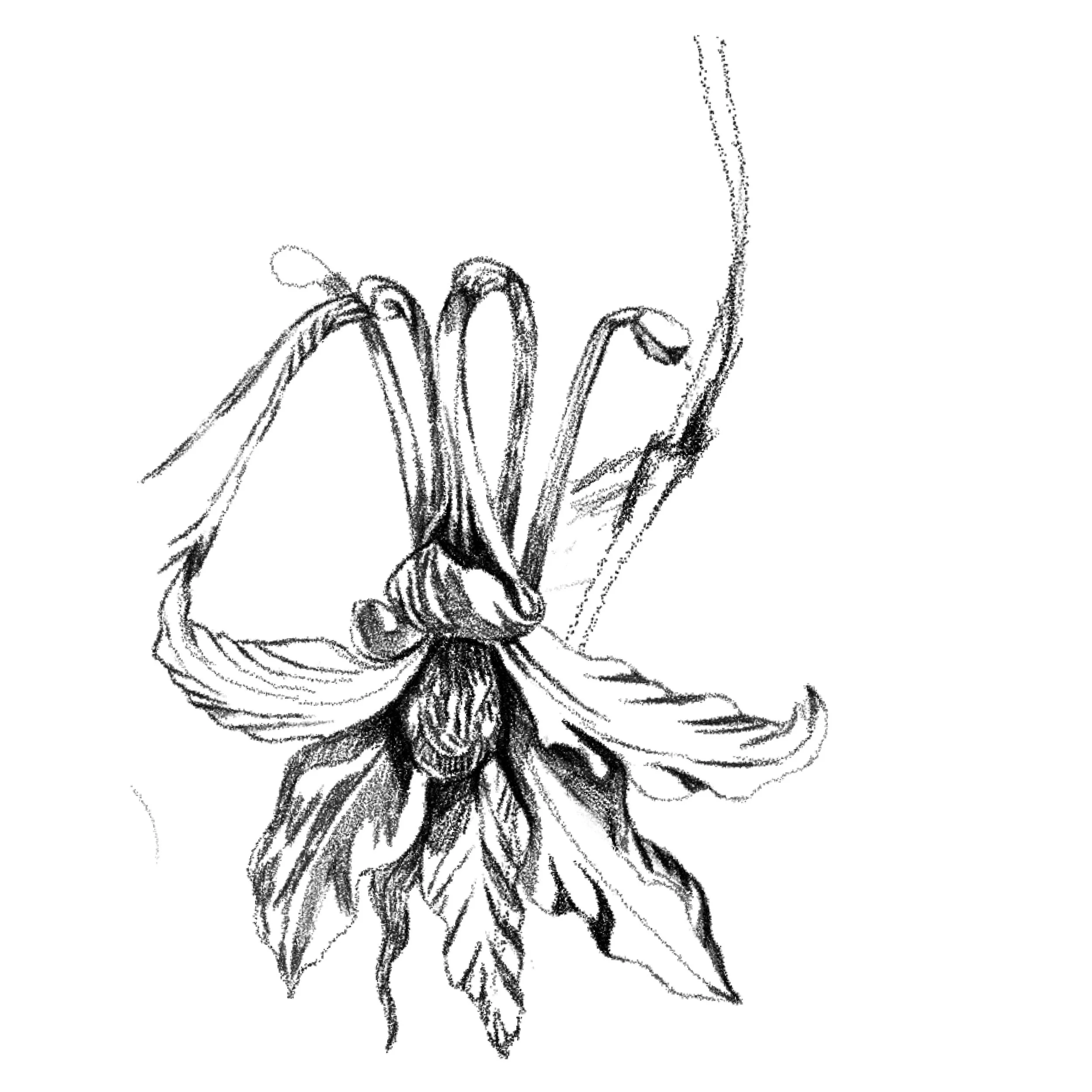 Untitled_Artwork 1.jpg