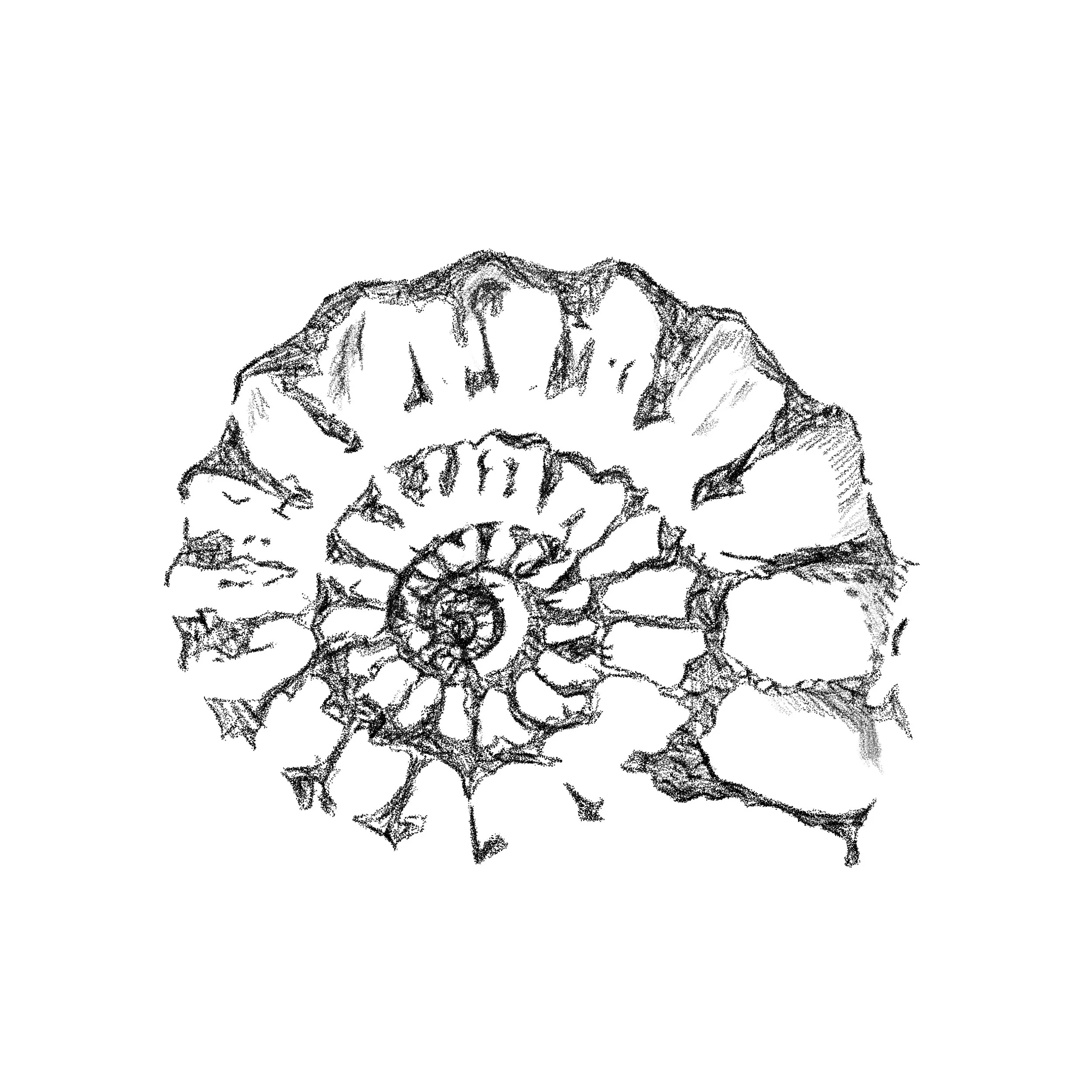 Untitled_Artwork 50.jpg