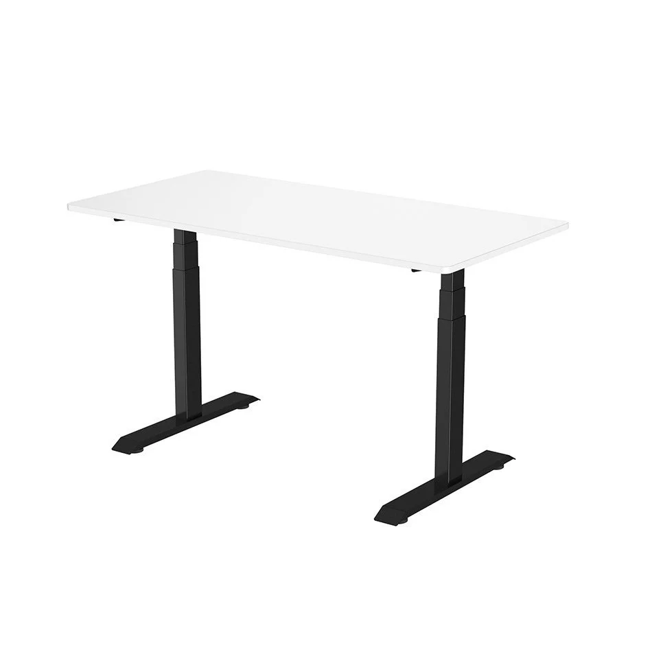 ASR14 Dual motor sit stand From €434 + vat