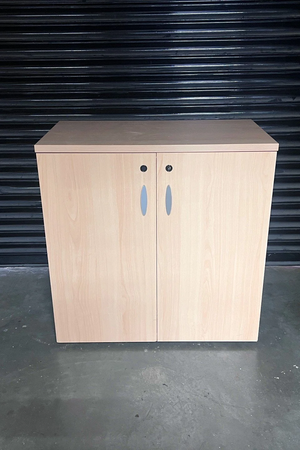 used low double door press.jpg