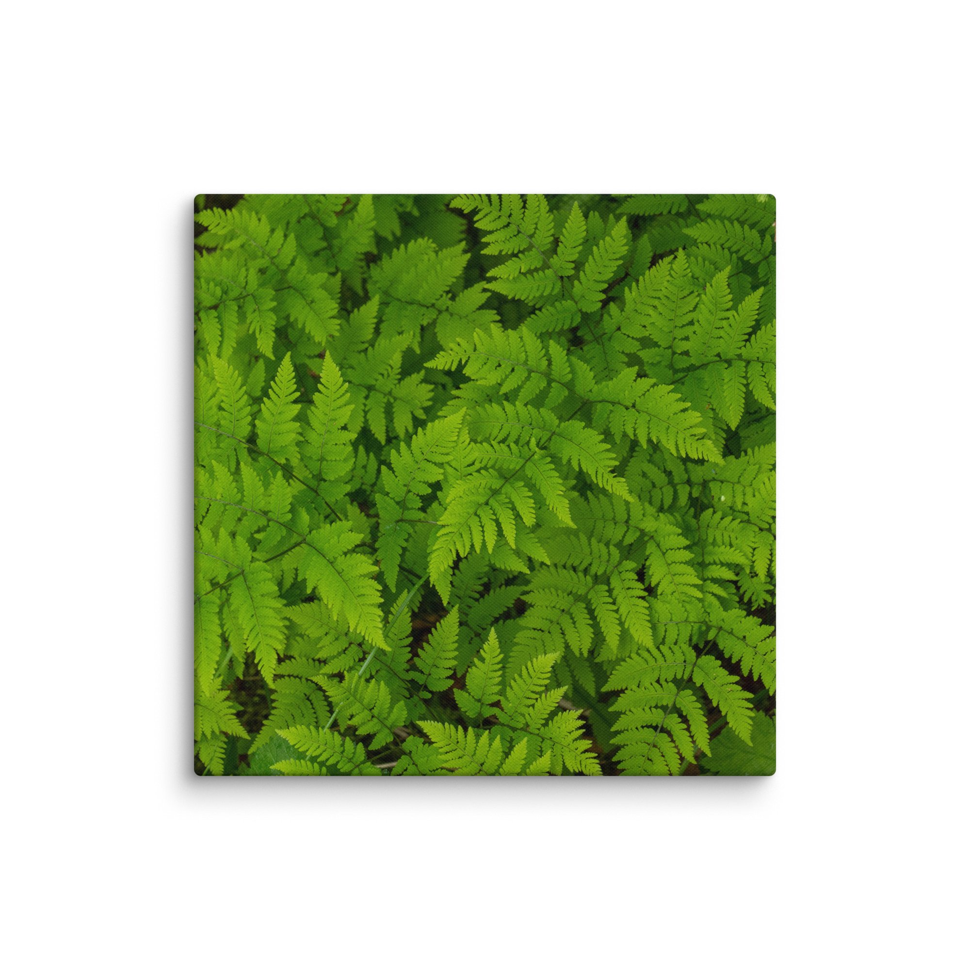 canvas-(in)-24x24-wall-66a7e7d50780c.jpg