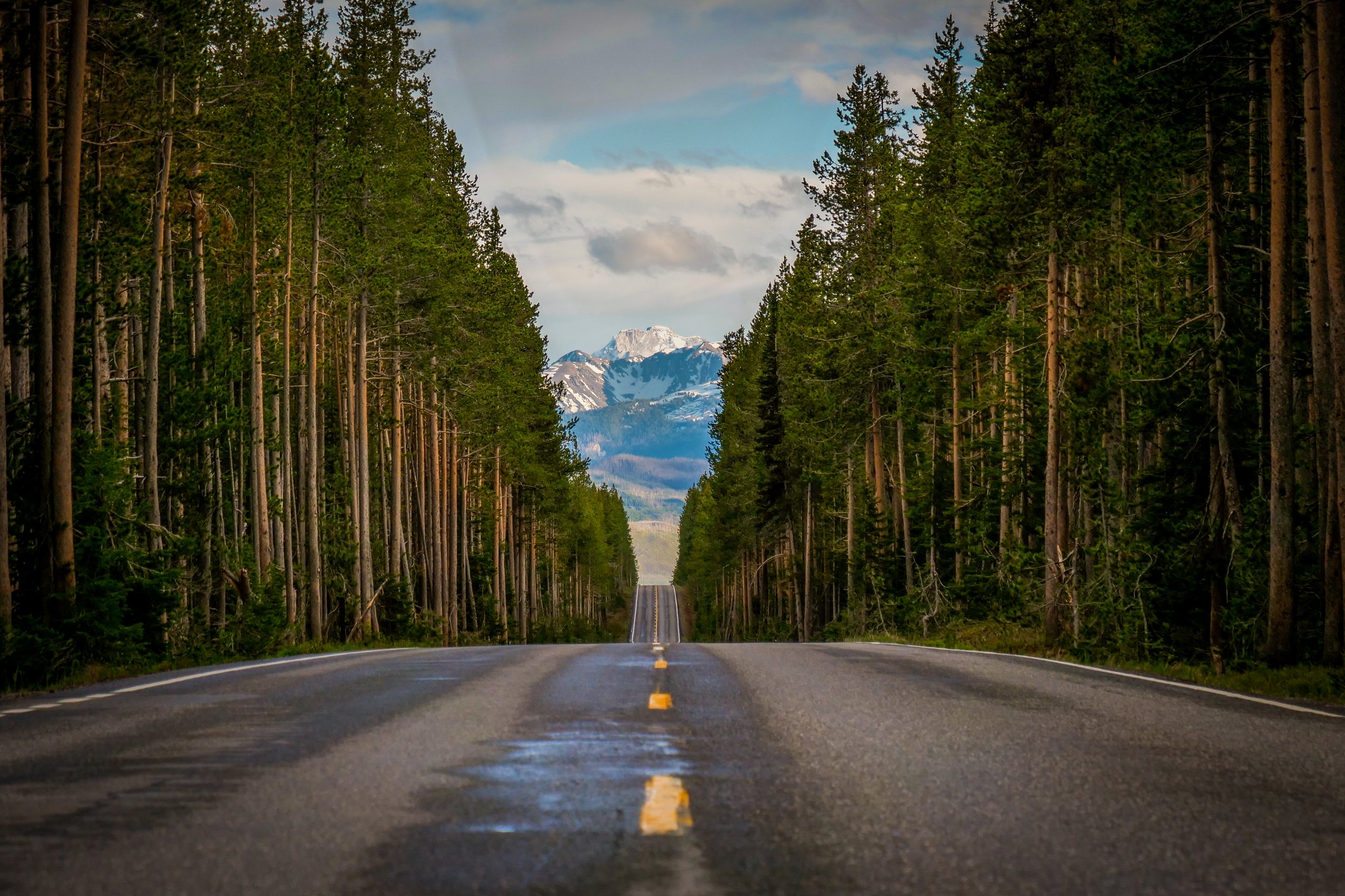 South Yellowstone Entrance