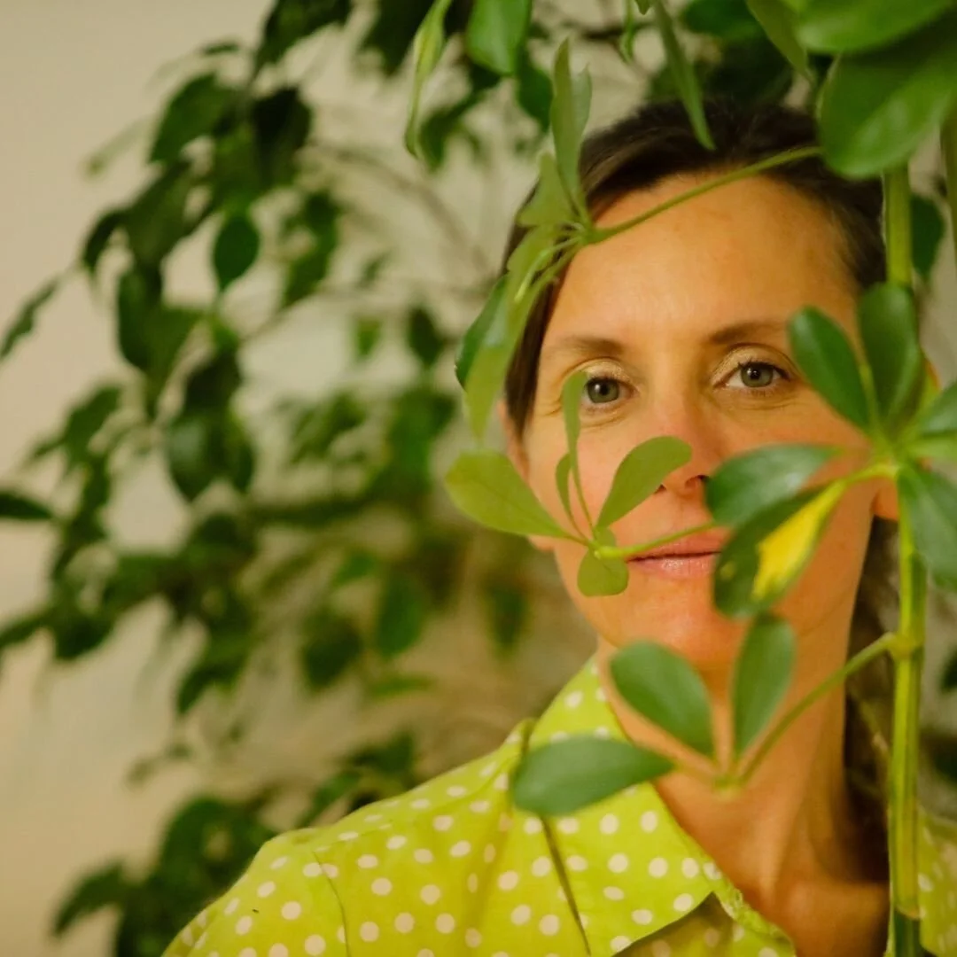 Dans le r&egrave;gne v&eacute;g&eacute;tal,⁣
il y a une loi qui r&eacute;git le cycle de la vie autre que le cycle des saisons.⁣
⁣
Il s&rsquo;agit de la dormance.✨⁣
⁣
M&ecirc;me si nous connectons nos r&eacute;flexes &eacute;motionnels au r&egrave;gn