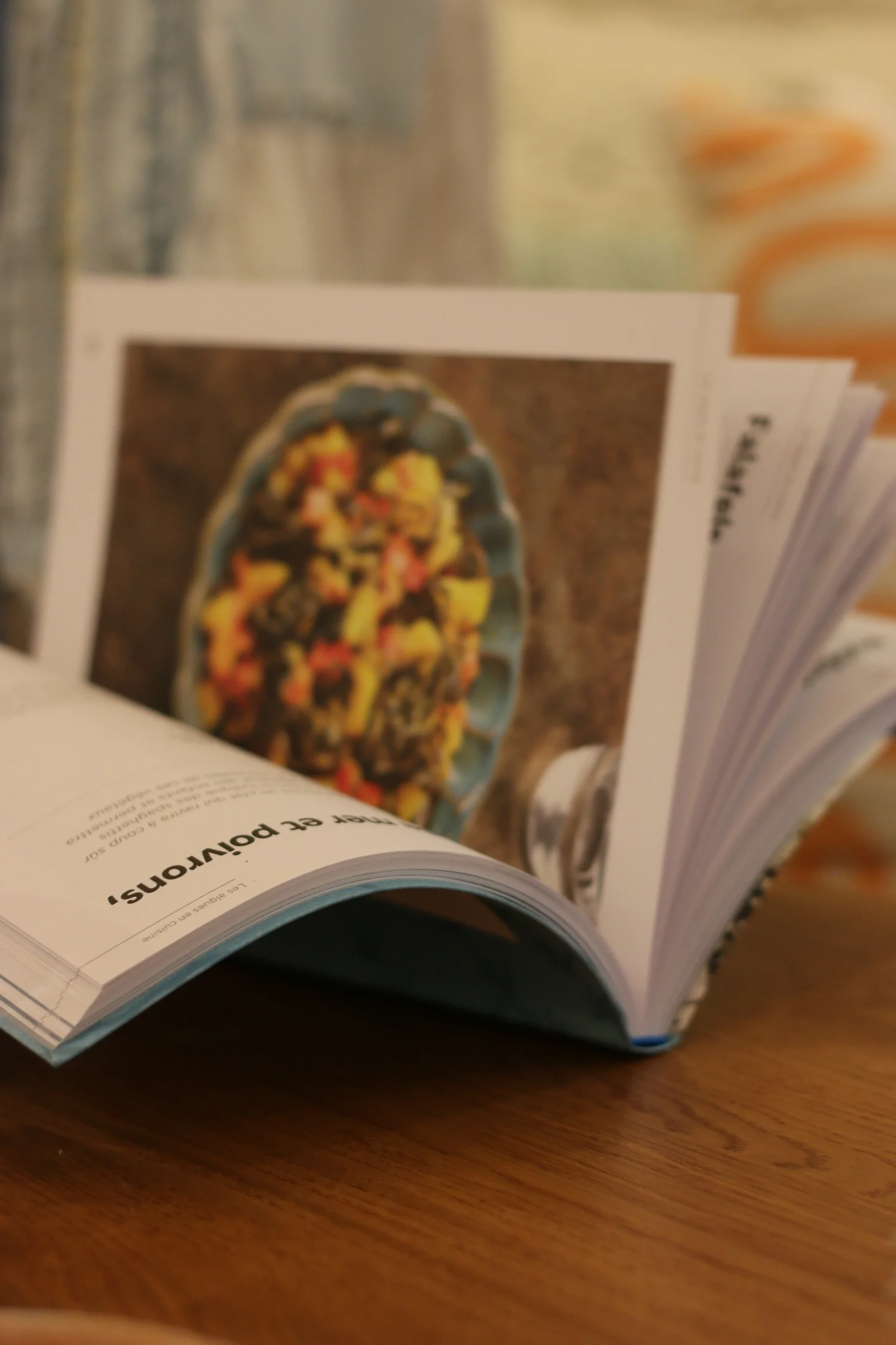 Un livre ouvert avec une photo floue d'un plat de nourriture en couleur sur la page visible.
