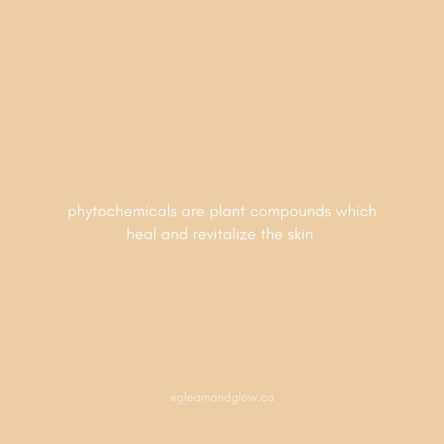 ℙ𝕙𝕪𝕥𝕠𝕔𝕙𝕖𝕞𝕚𝕔𝕒𝕝𝕤 🌱

What are they and what is their role in skincare?

Flavonoids, polyphenols, and flavanols are all subgroup examples of phytochemicals 🔬

Phyto (phyto meaning plant) chemicals are powerful plant constituents with 