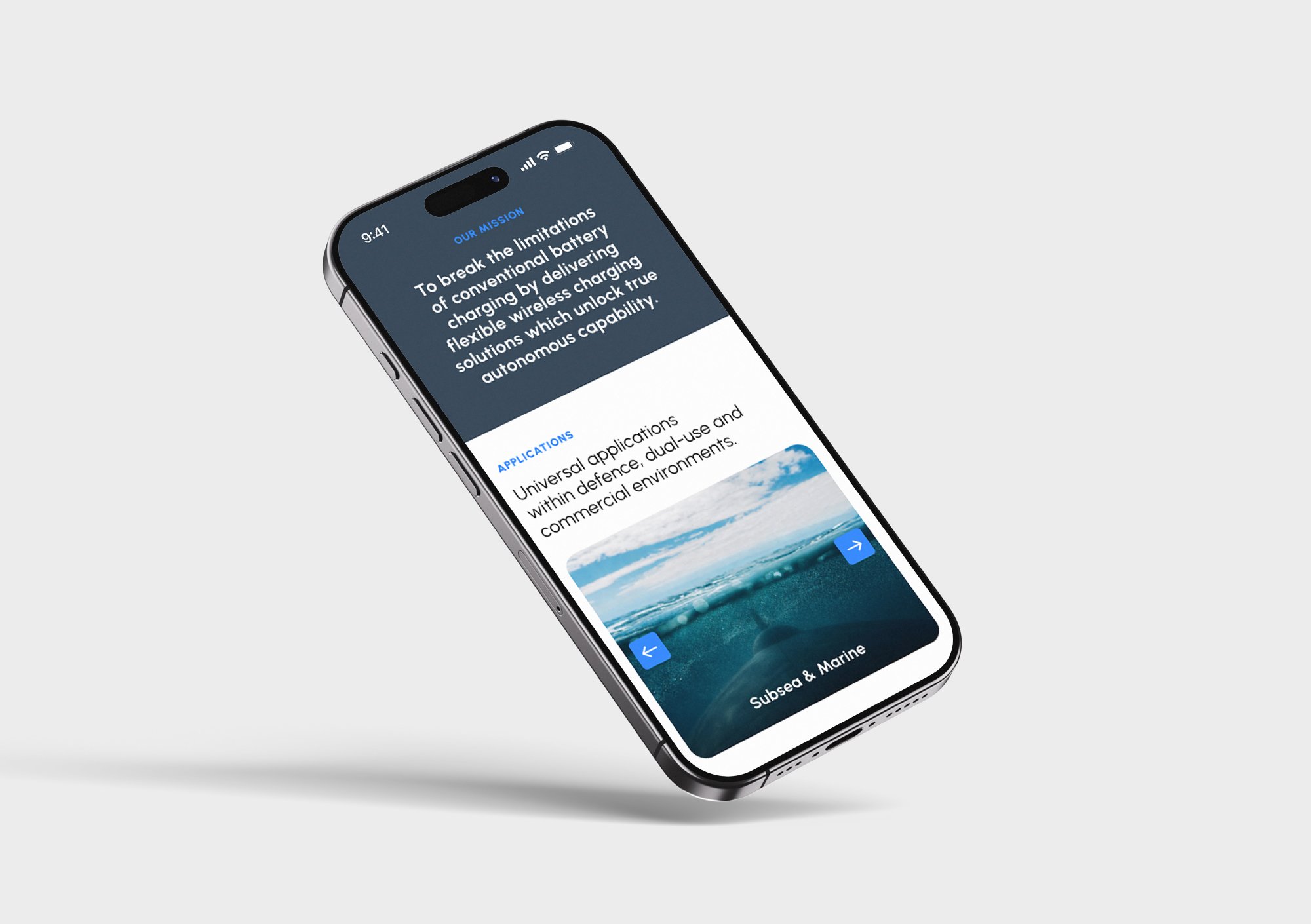 IPP Website on Mobile Device