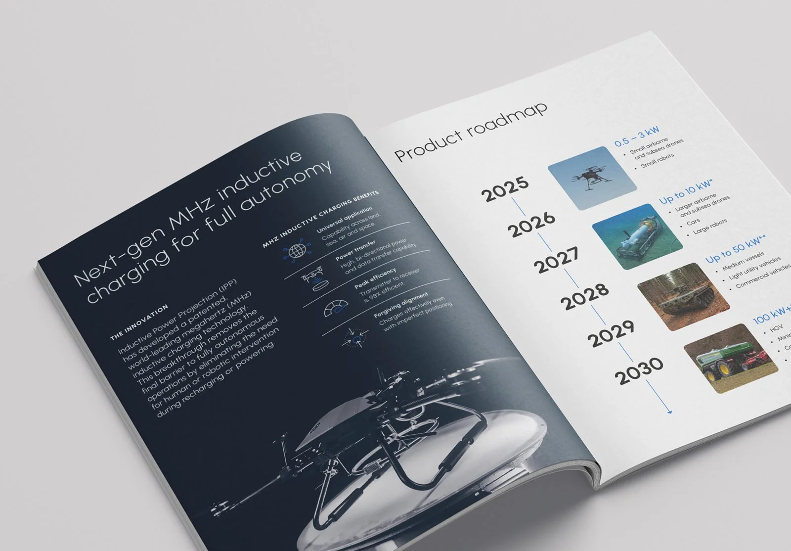 IPP Brochure Spread 1