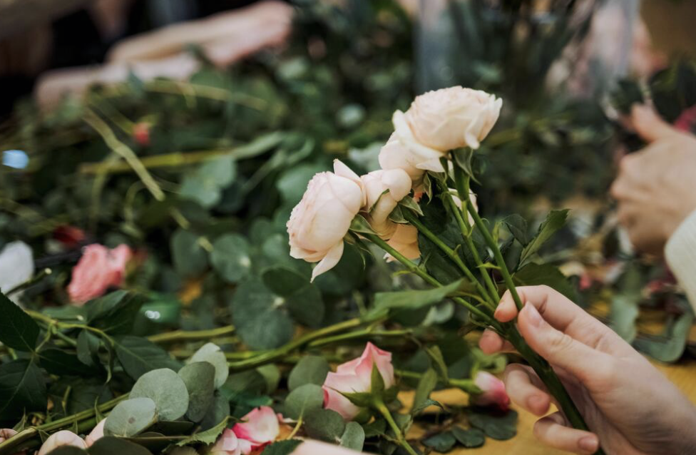 Screenshot 2025-11-09 at 11.54.48 AM.png