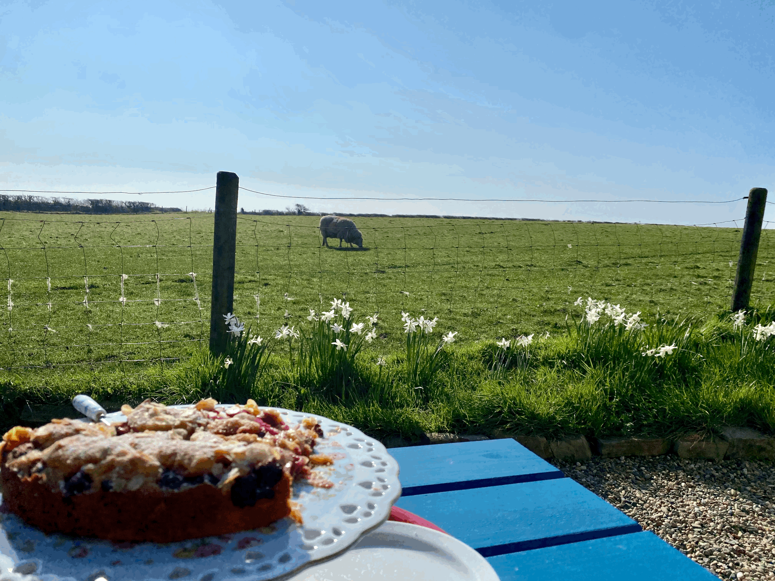 A Farm Stay in County Wexford, Ireland