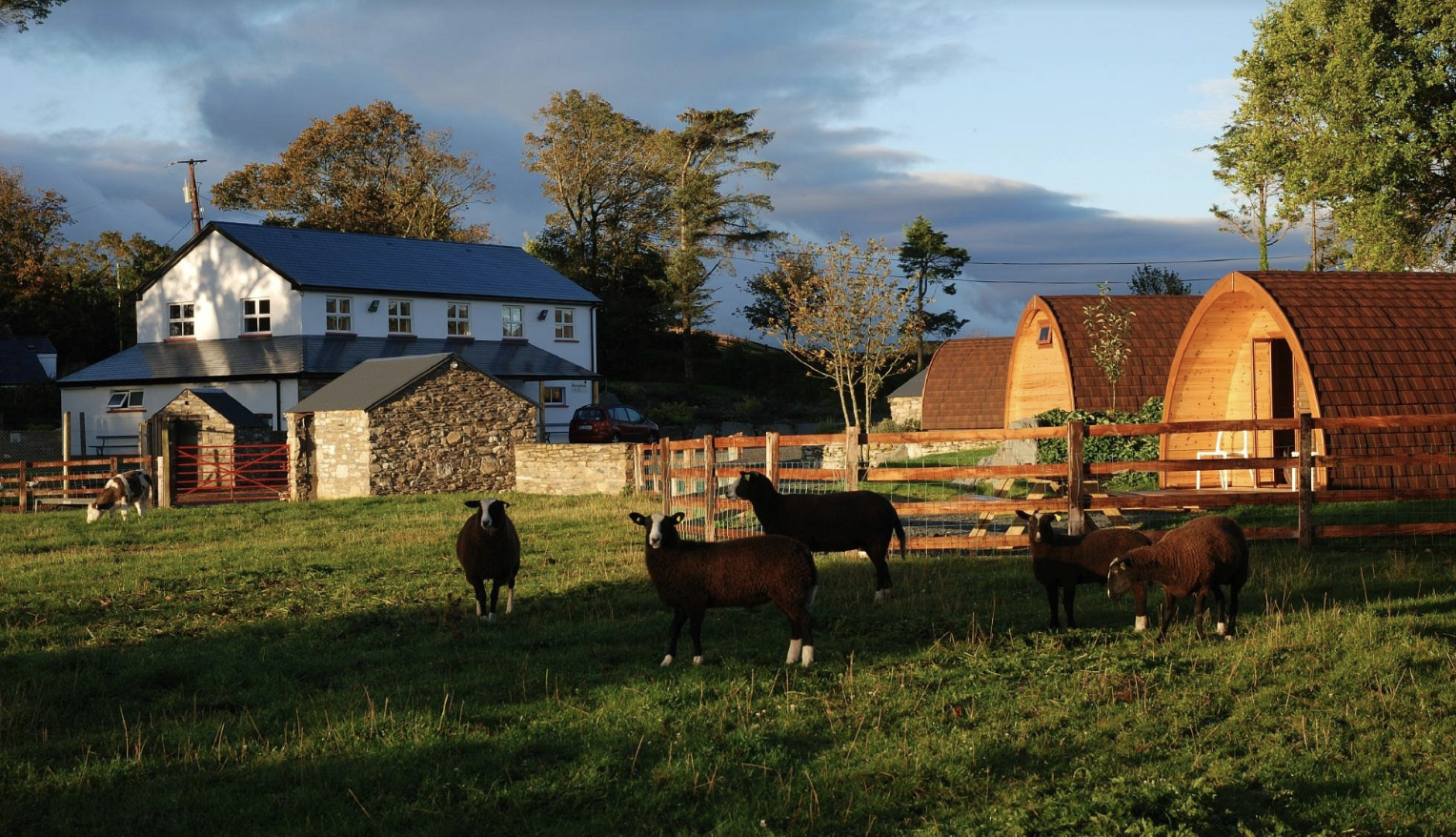 Screenshot 2026-03-07 at 11.53.05 AM.png