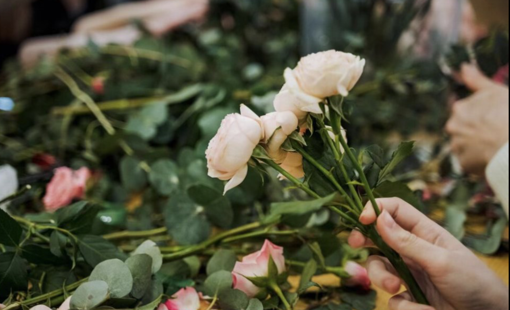 🌿 Wild Vessel: Flower Sessions December-February