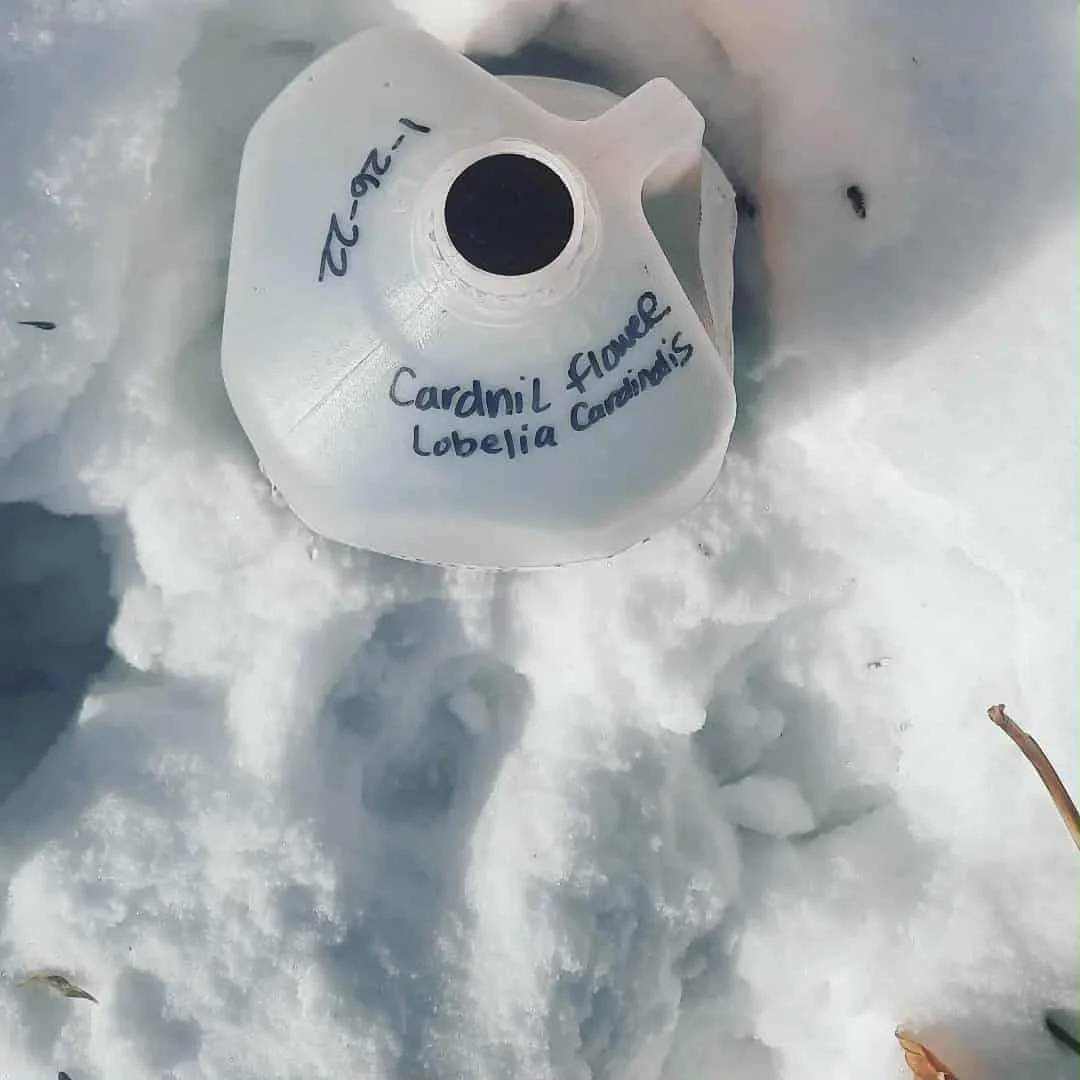 att.Vn1WQJGB61x7-KMMltHPB0f8CmC0-rJ0nZvwOTsTvqg 2.JPG