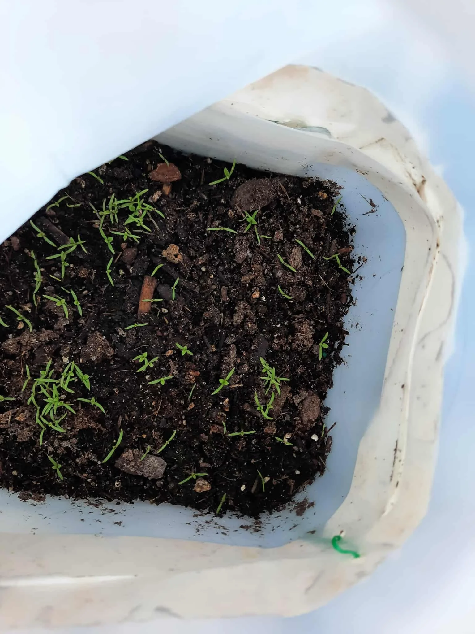 att.uvMKFrLqrhSNJQih-p4669kC7xVrqHlNATla52HMOxg 2.JPG