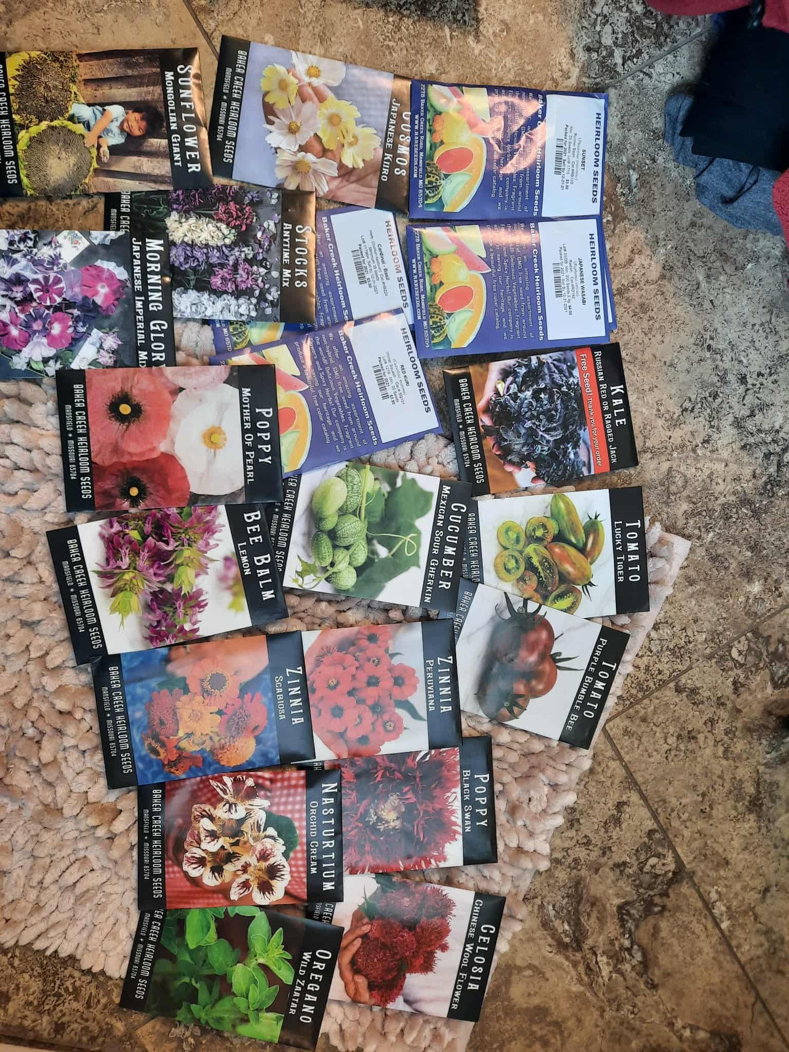 att.XhT_nBaQHQM5Dz4HxXWDsFmmIc3fTAssWlqhI9dKvag 2.JPG