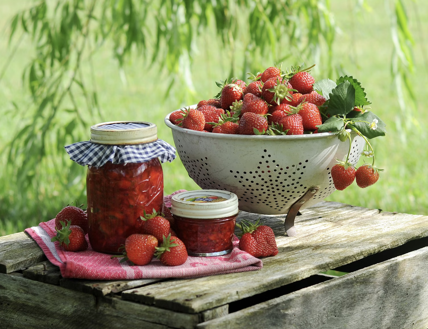 Screenshot 2026-02-28 at 9.08.36 AM.png