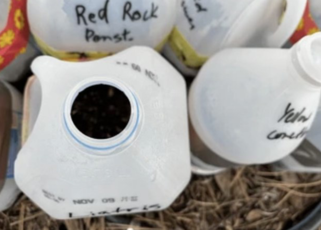 🌱 Winter Sowing & Seed Exchange-February Classes