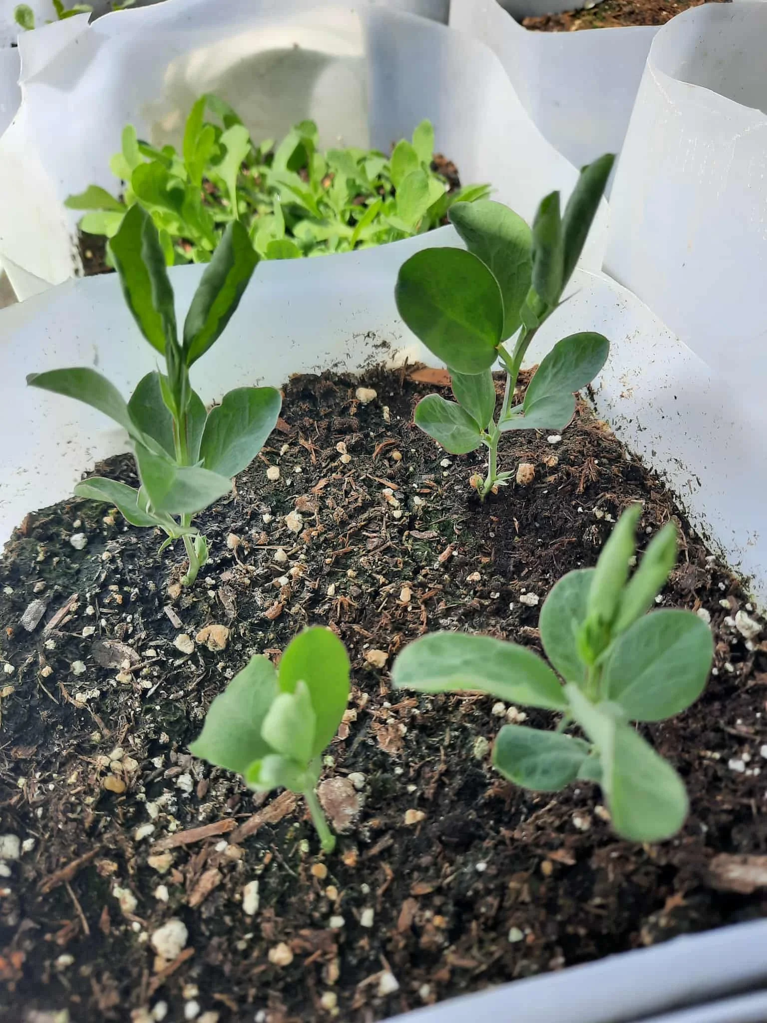 att.VG6-Ex2LMrd8IHwi_enZmHcAOZgDG_XGgDVdcznyOmg 2.JPG