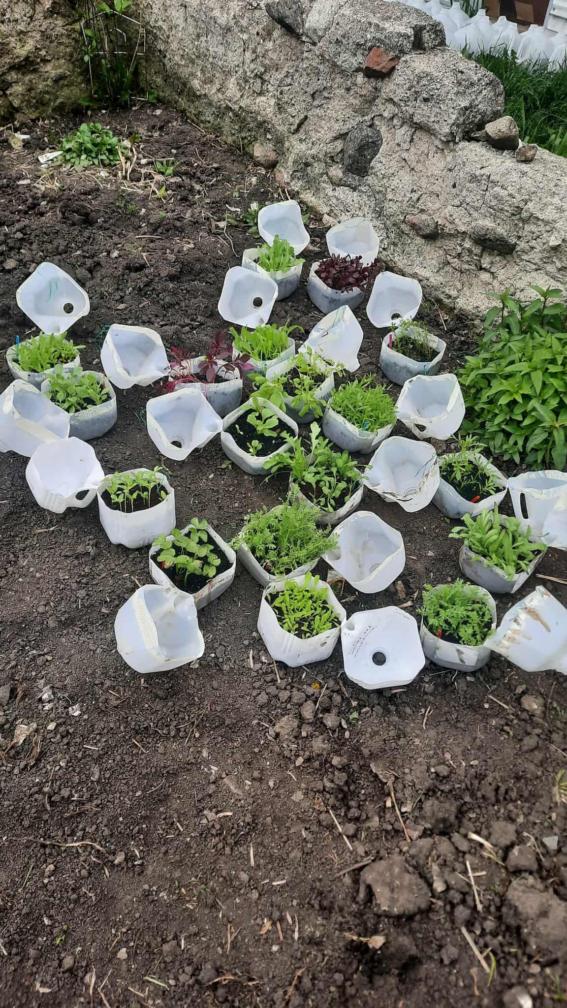 att.yA80Nj5W-VM5M4k20PkpFlT1xzHkW1g7ge0y4RnIdoc 2.JPG