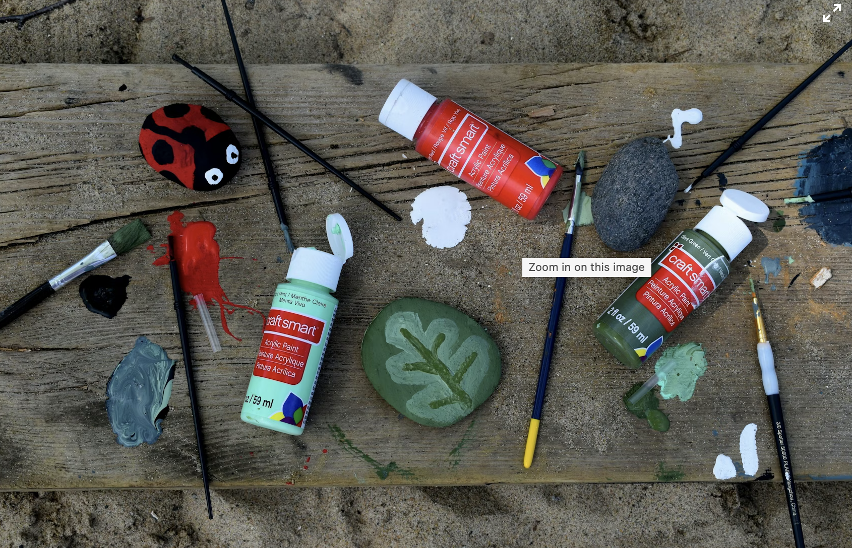 🎨 Rock Painting for Your Garden!