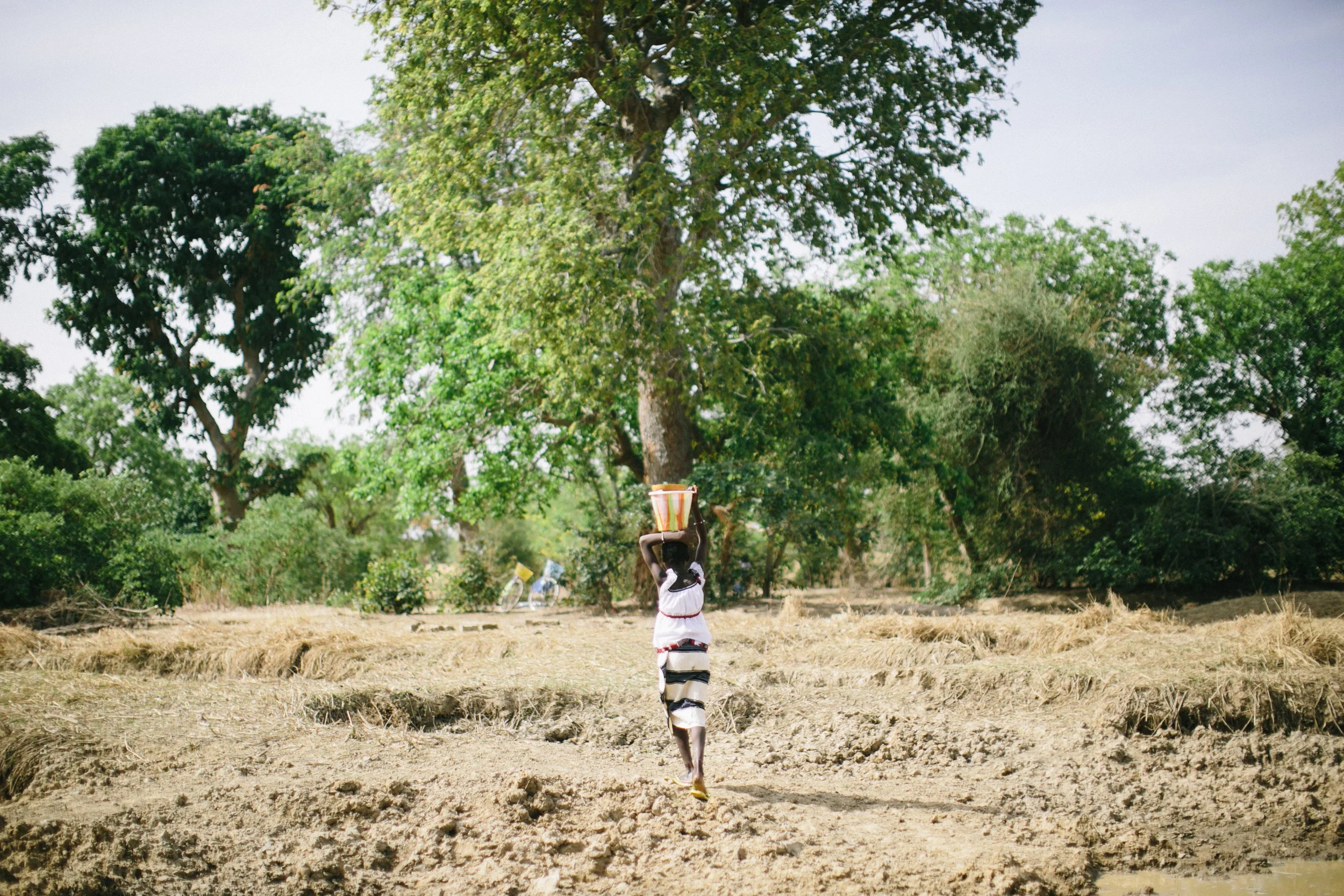 Georgie Badiel Foundation fieldwork in Burkina Faso