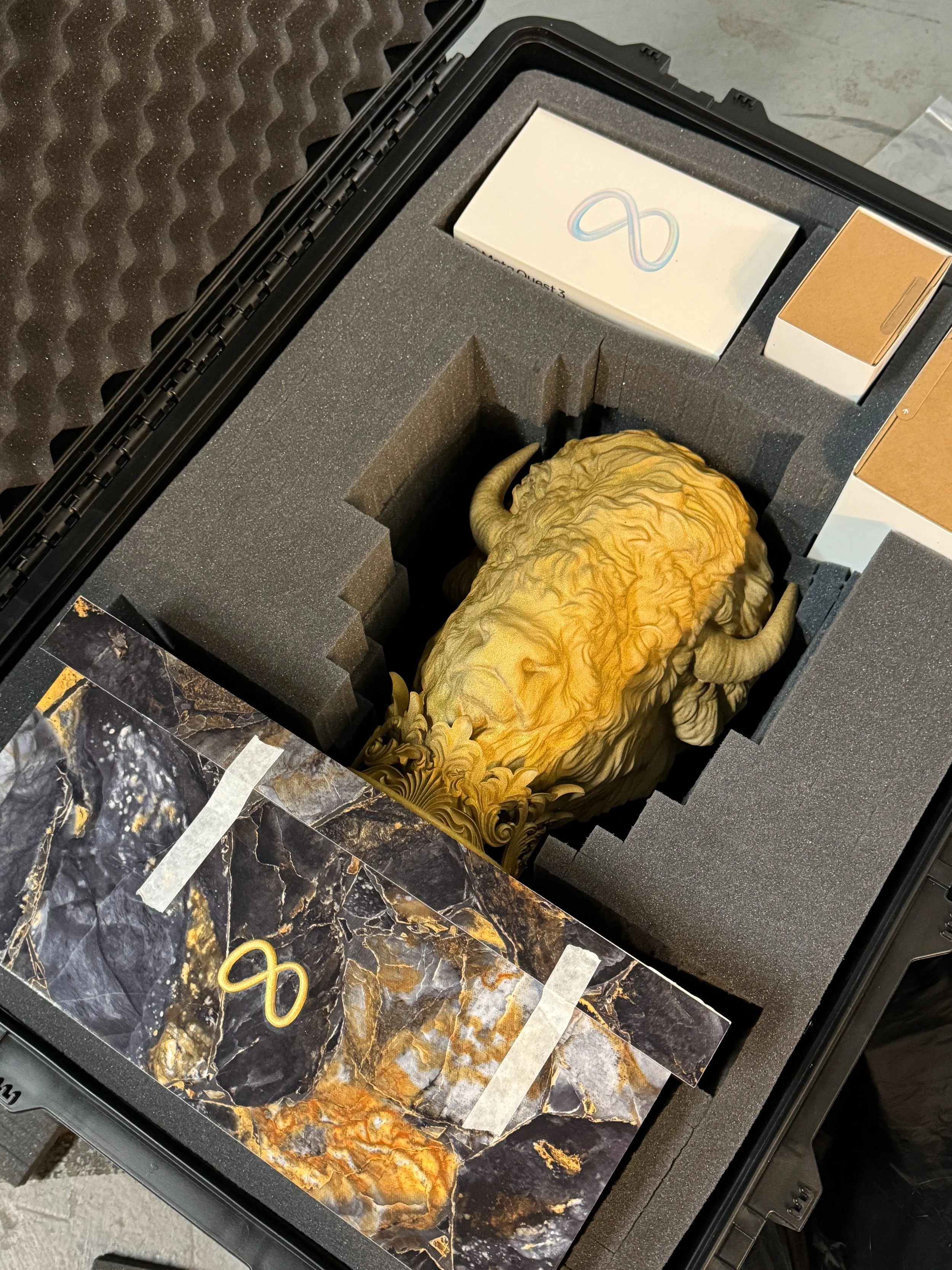 A storage case lined with foam containing a box with an infinity symbol on it, some smaller boxes, and a large, gold-colored animal head sculpture, possibly a lion, with a carved mane and horns. The exterior of the case has foam padding, and the surf